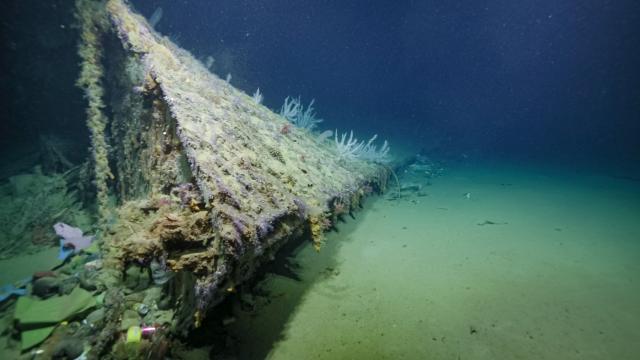 Bow of USS New Orleans lies on the sea floor of Iron Bottom Sound