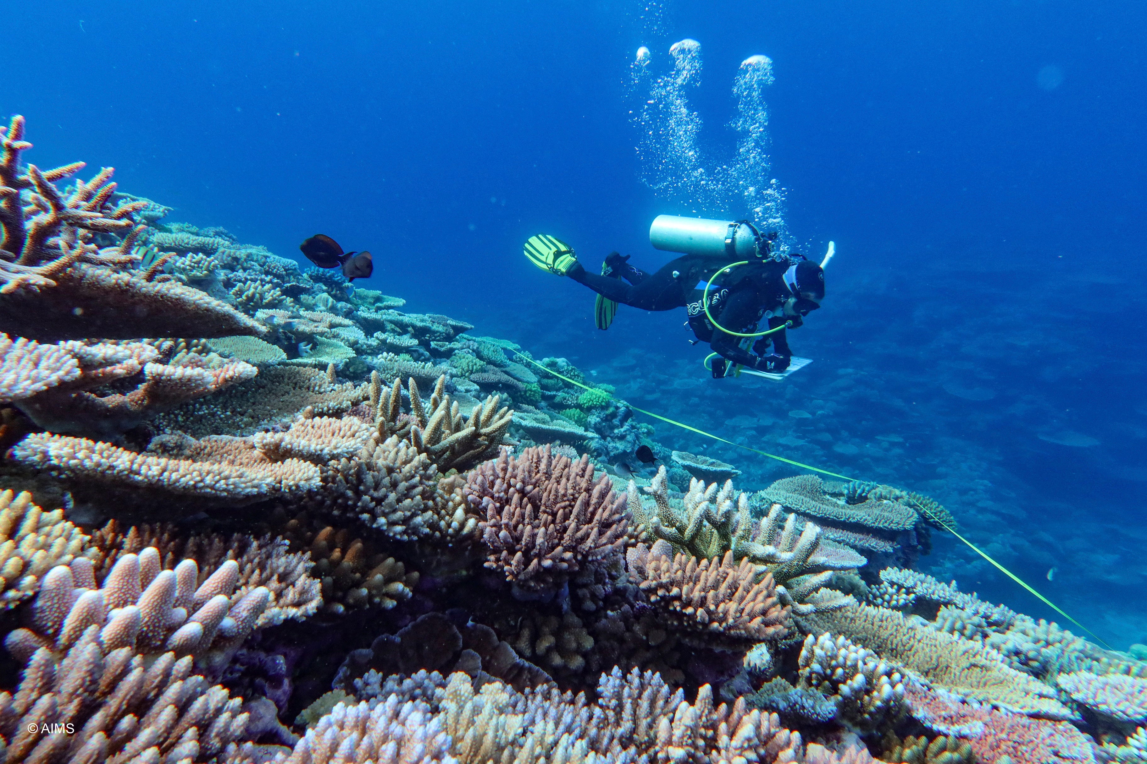 Australia Great Barrier Reef
