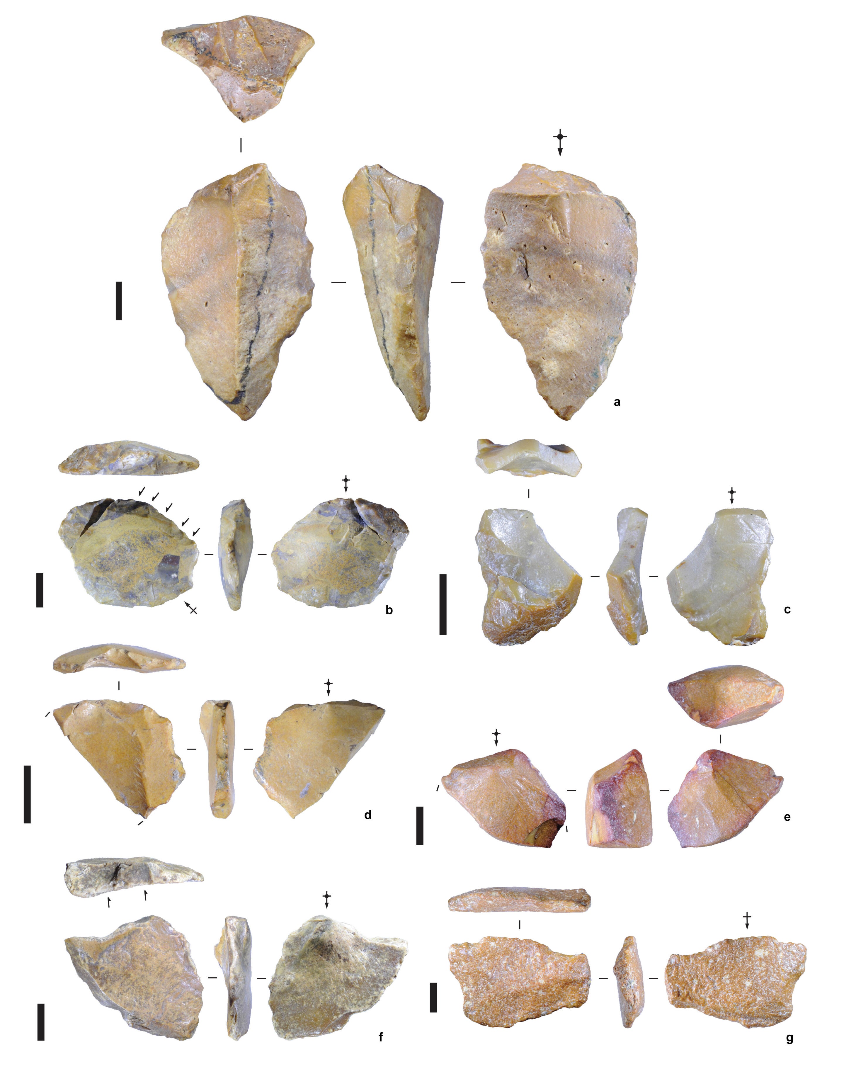 Stone tools excavated on Sulawesi and dated to over 1.04 million years ago. Scale bars are 10 mm