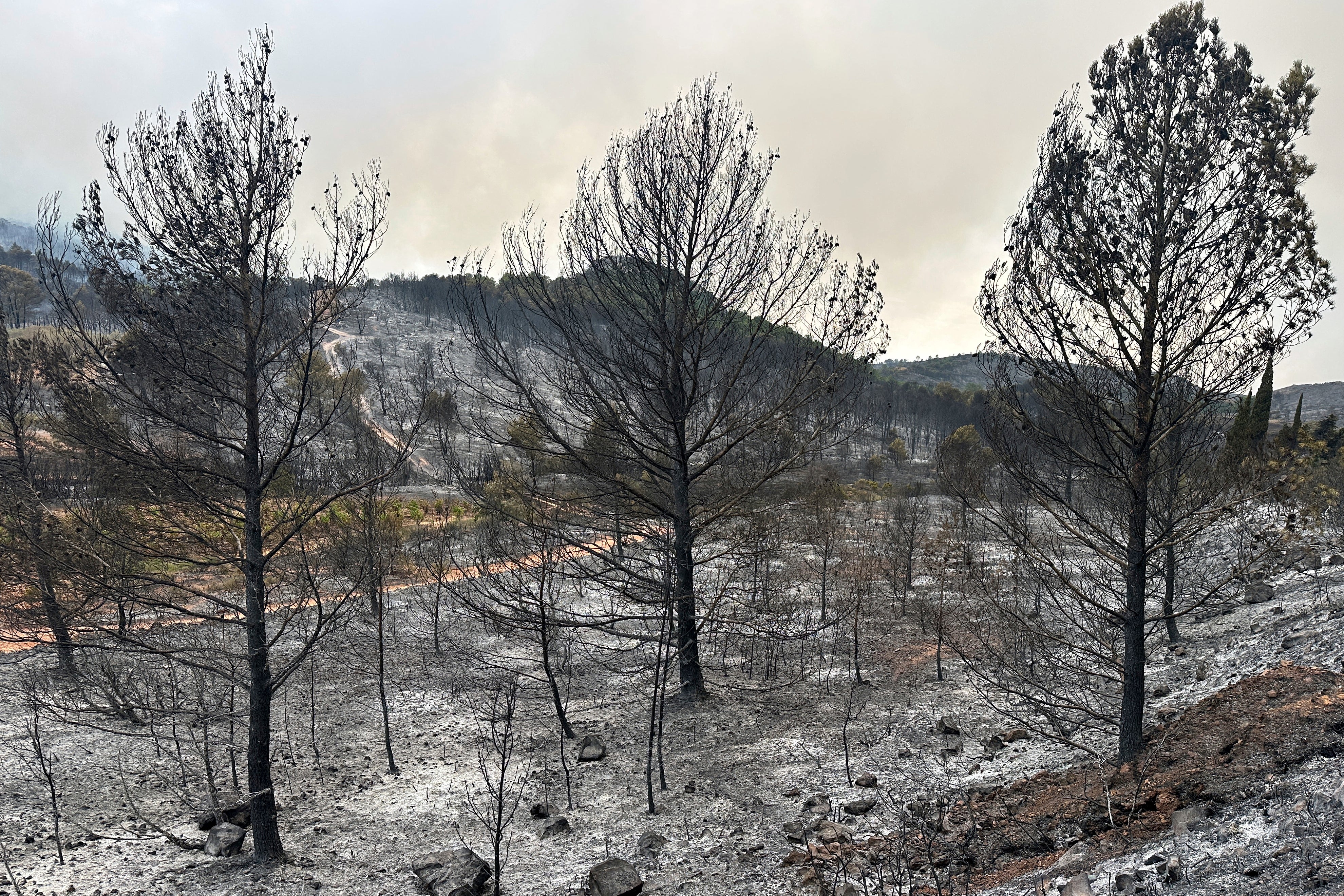 Parts of the Aude region have been described as a ‘lunar landscape’ due to the damage