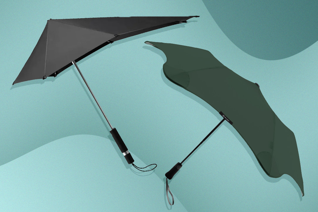 11 best umbrellas for facing unpredictable British weather