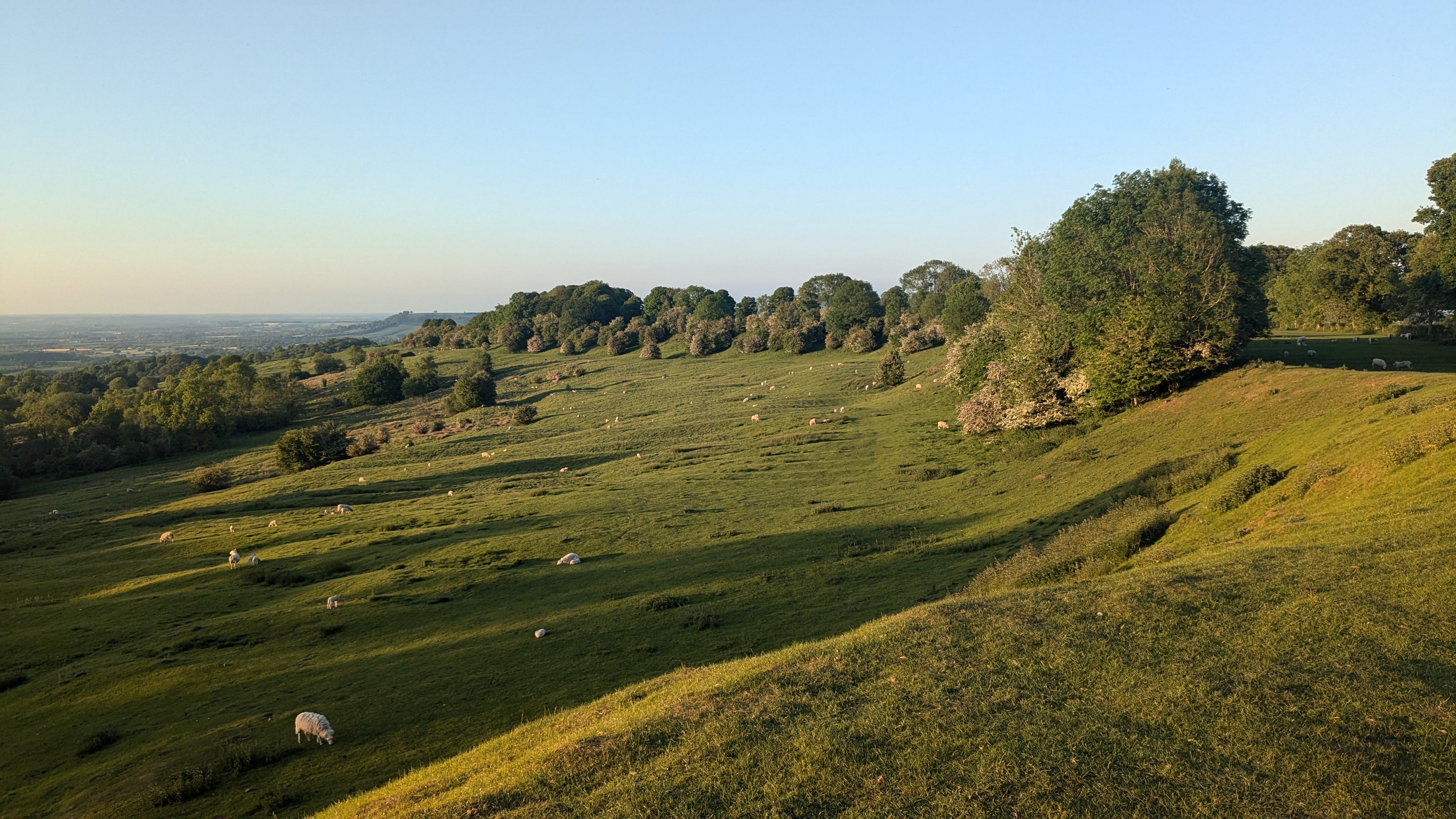 Travelling by bus allowed Gabriel to discover the bucolic landscape of the Cotswolds