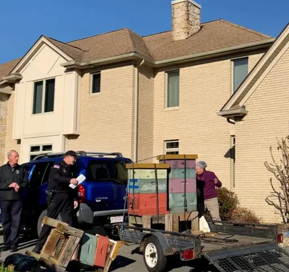 Woods was towing cartons of bees with her car