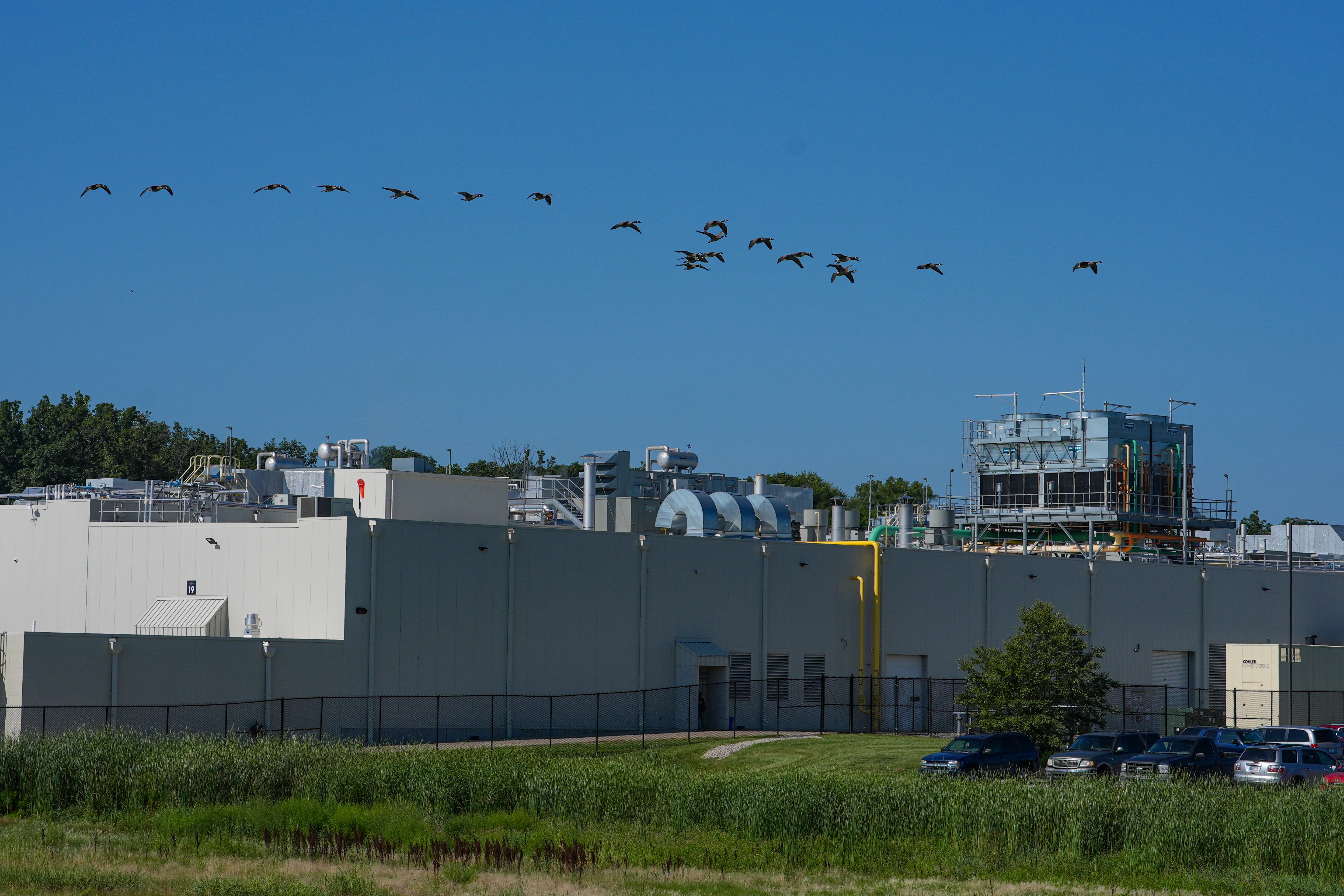 Boar's Head-Deli Meat