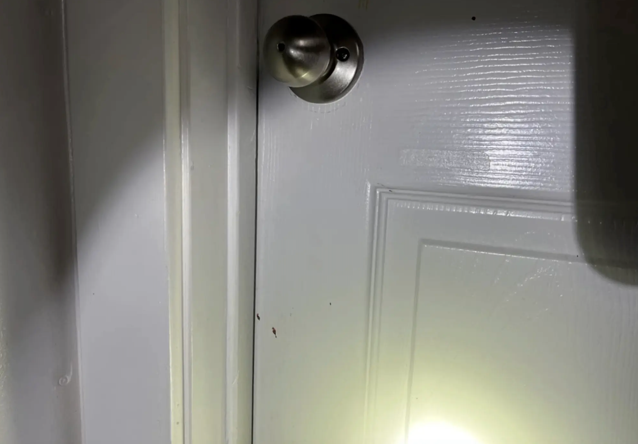What appears to be blood spatter on one of the doors inside the Moscow house after the Idaho murders