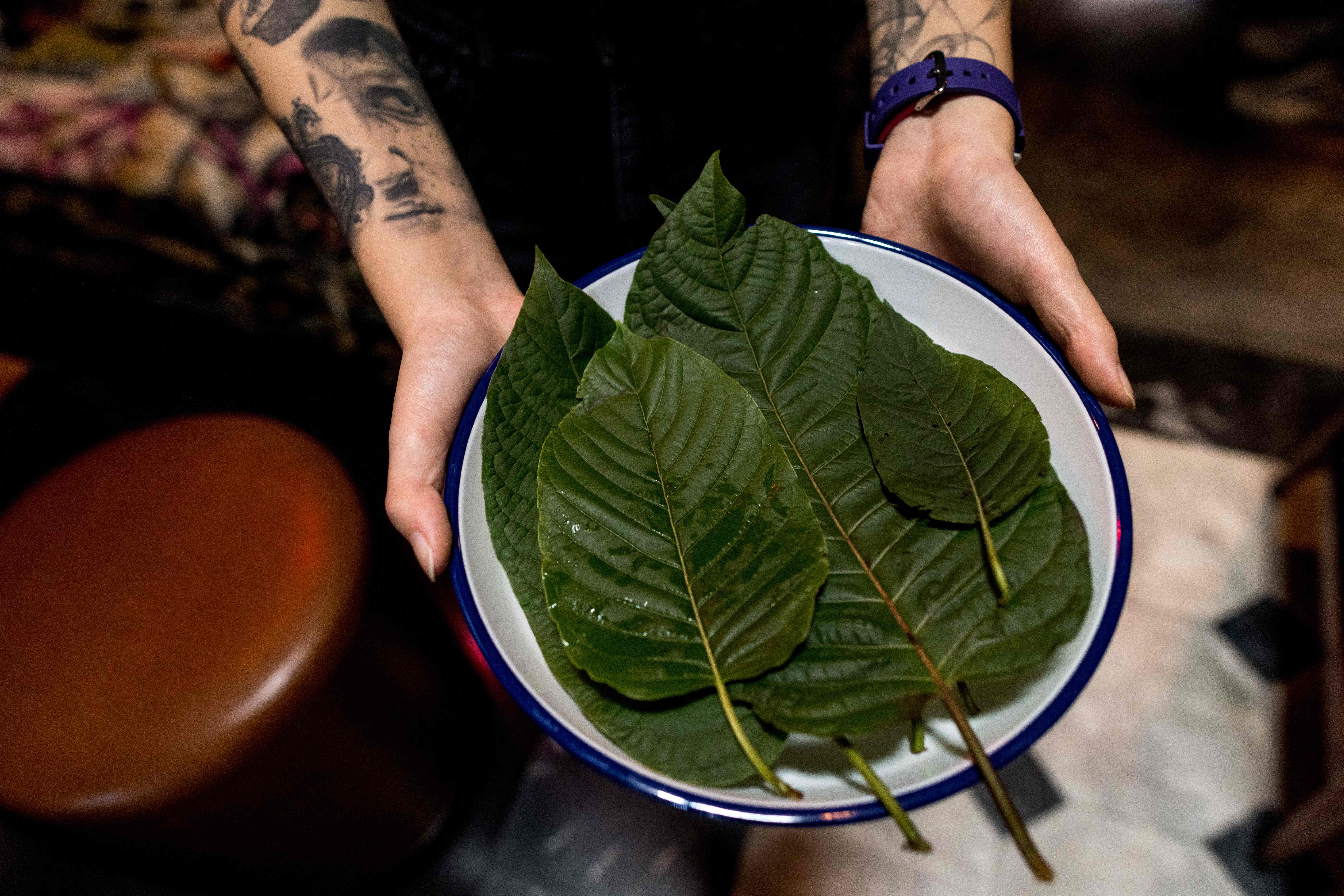 A bowl of kratom leaves. Social media users have warned against the addictive effects of some products containing kratom