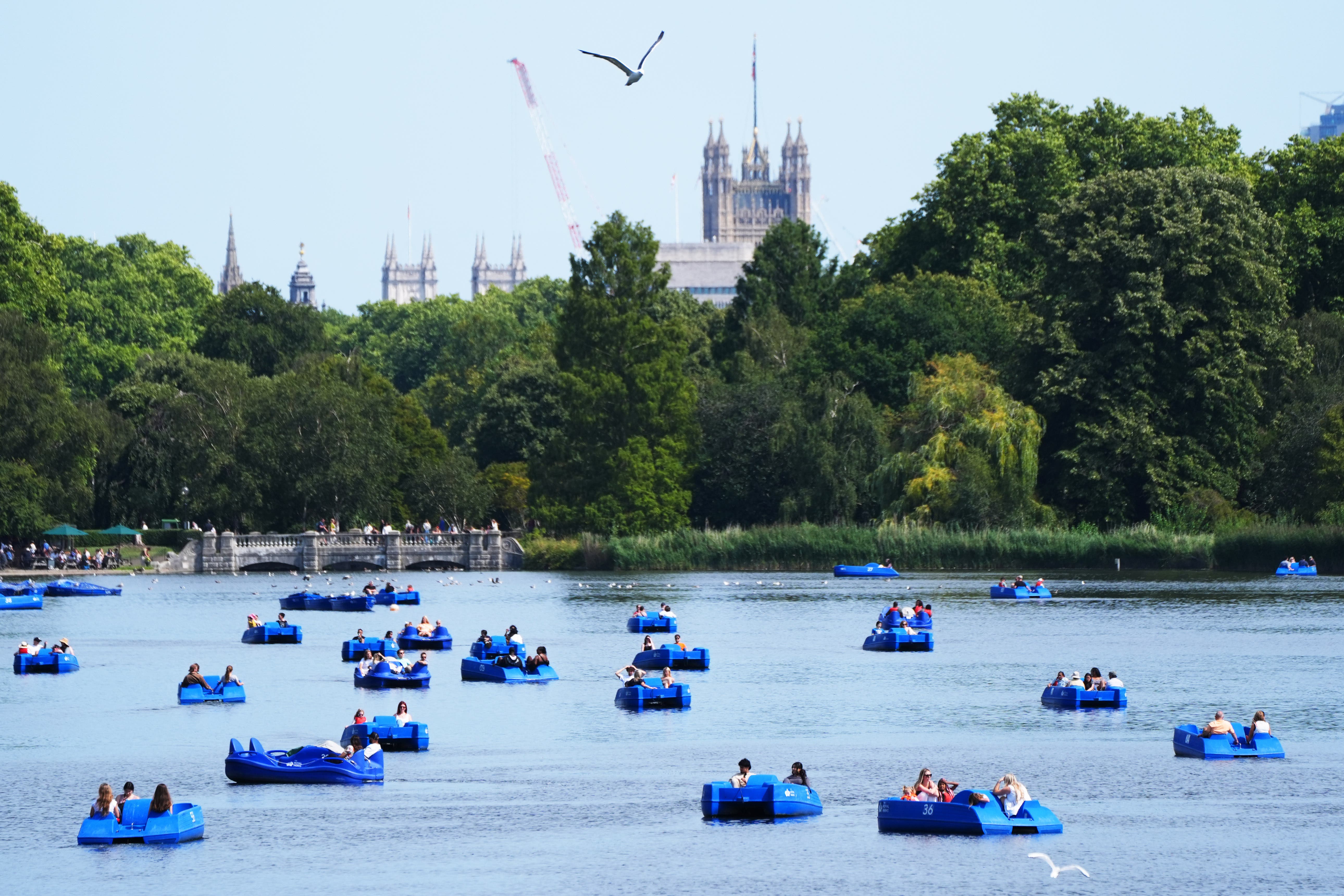 Visitors to the Serpentine take to pedalos in Hyde Park, London