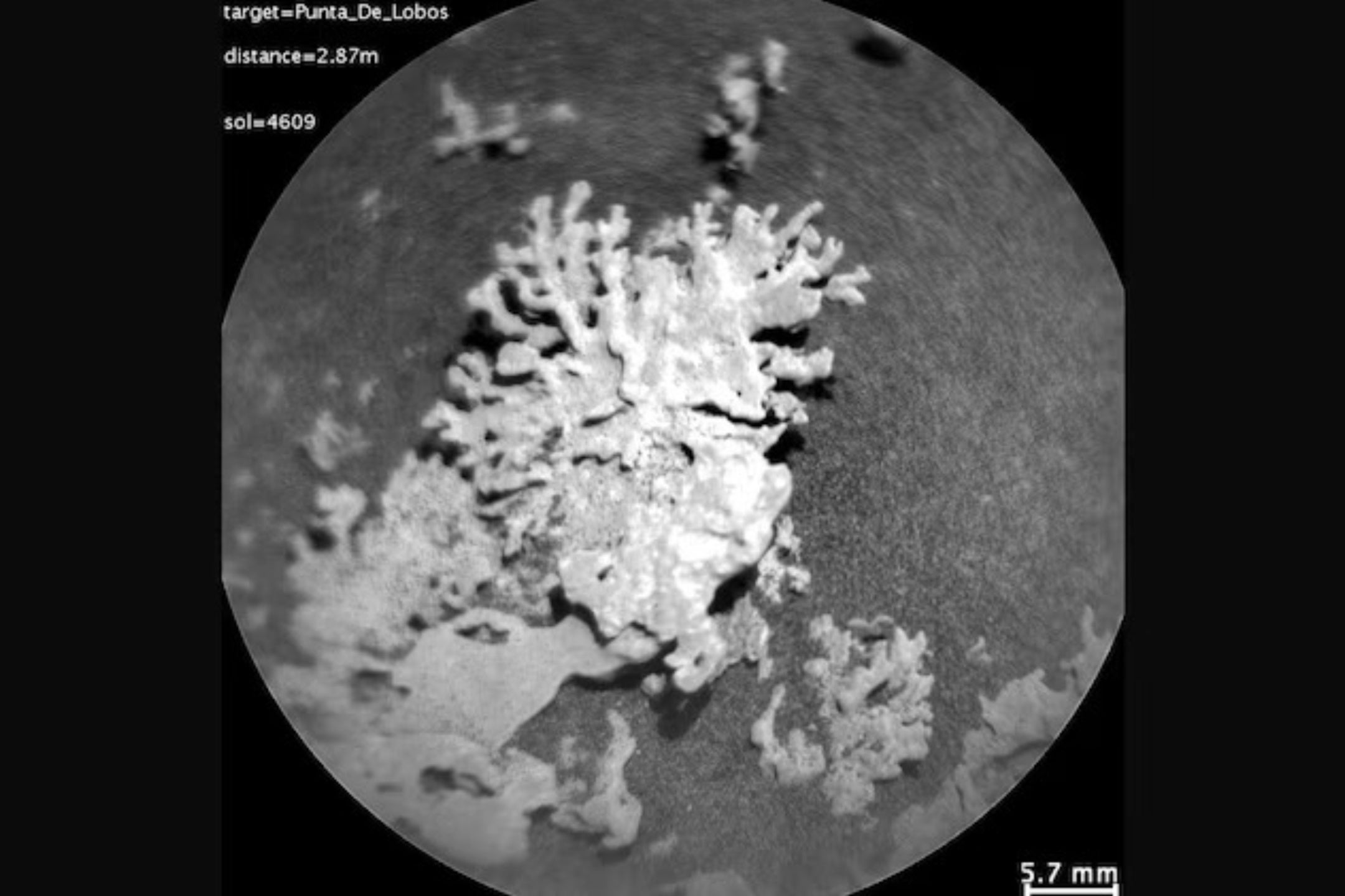 On July 24, the Curiosity Rover viewed this wind-eroded and coral-shaped rock