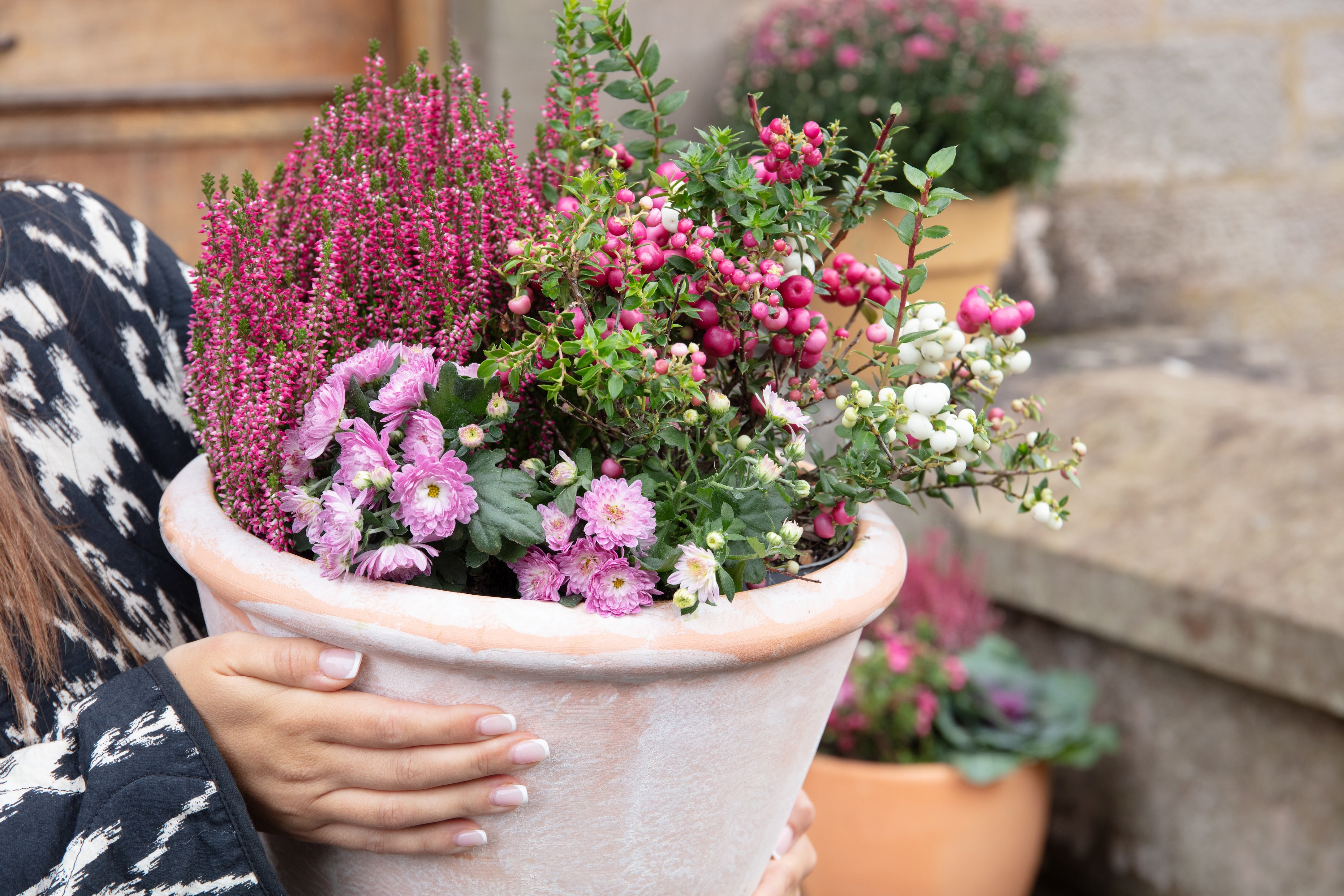 <p>An expert explains how you can make the most of your rental garden space</p>