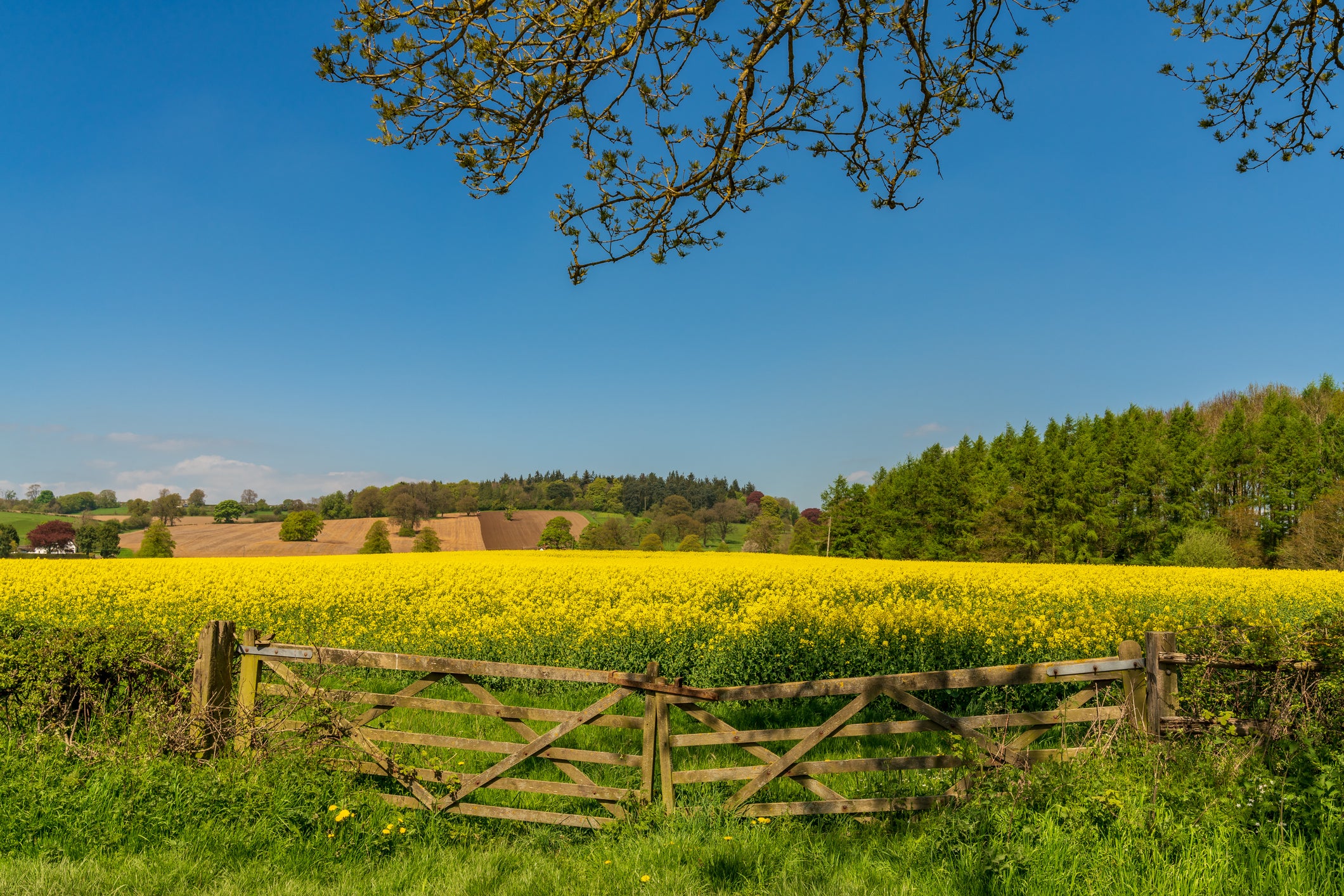 Make the most of the mellow Shropshire countryside in Bishop’s Castle