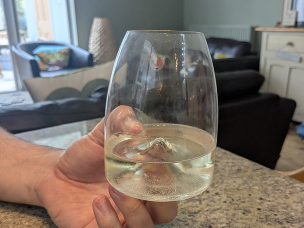 IndyBest best wine glasses reviewed Peugeot les impitoyables le taster