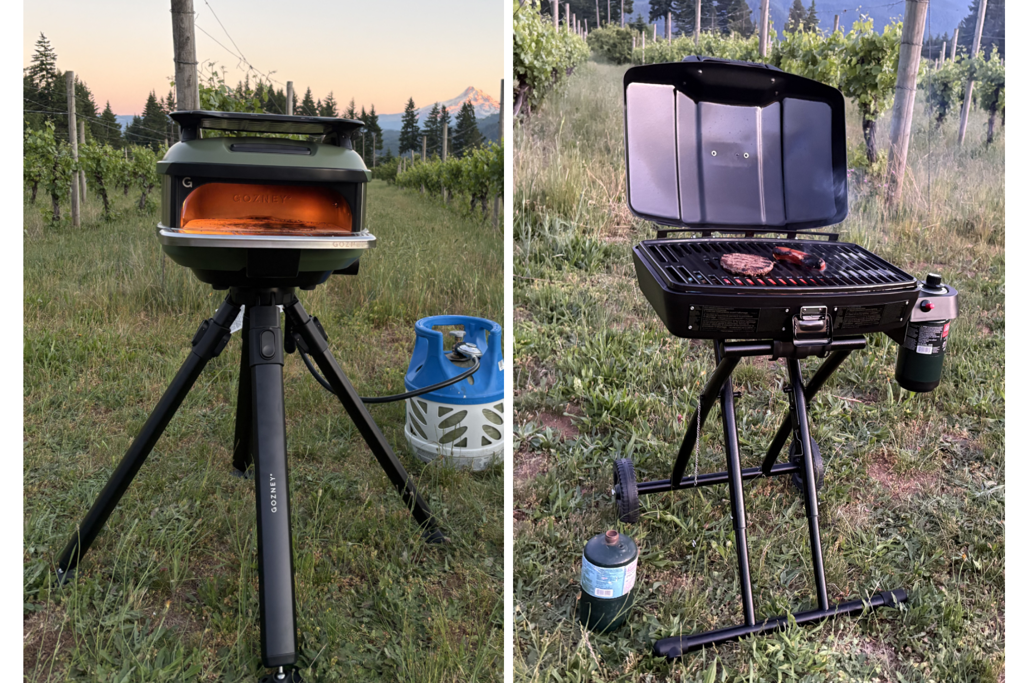 I recruited a team of testers and went on a series of camping trips to trial out more than a dozen portable grills