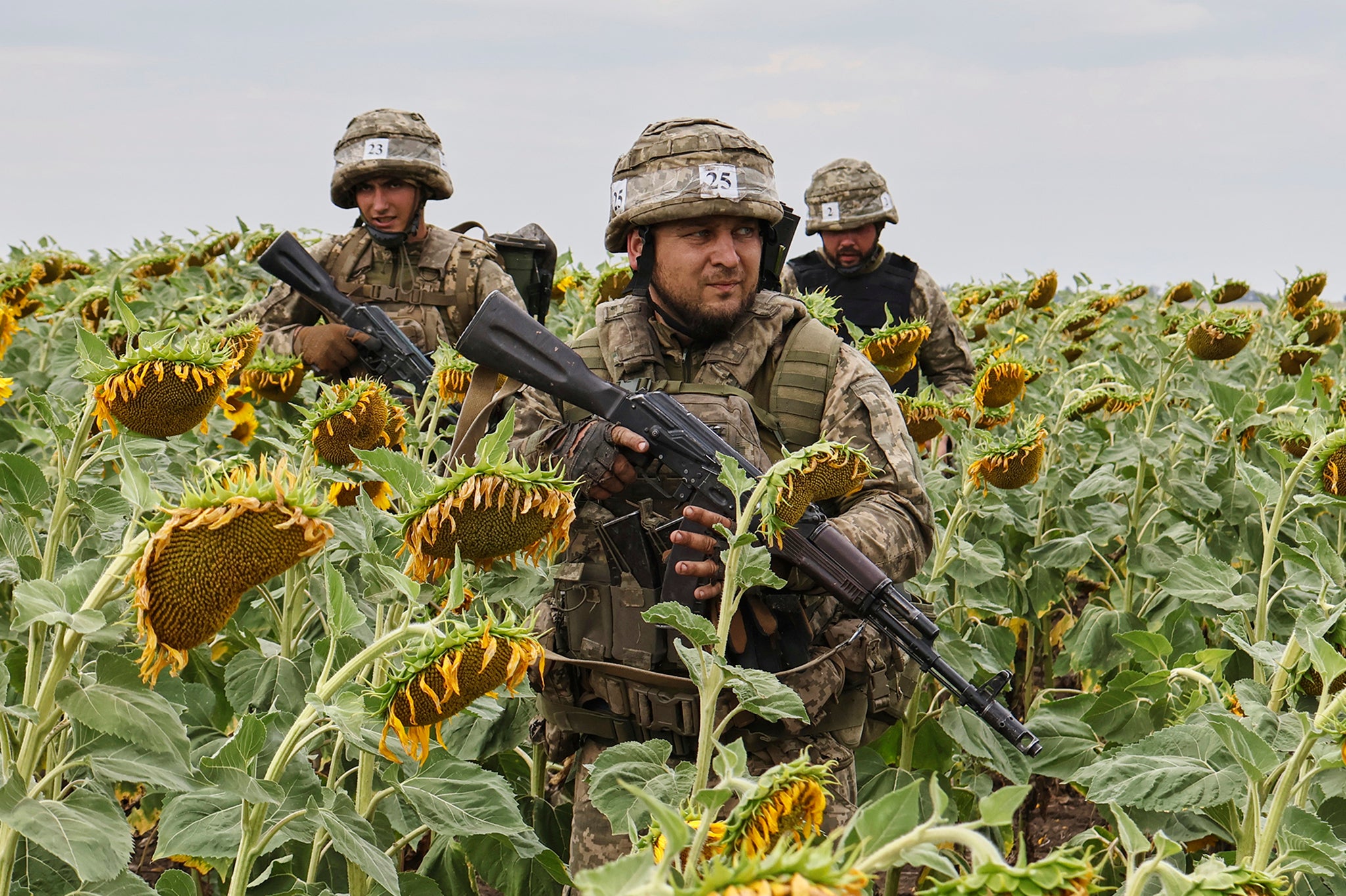 Ukraine-Russia war latest: Zelensky warns Putin will launch new war from land gained in Trump deal