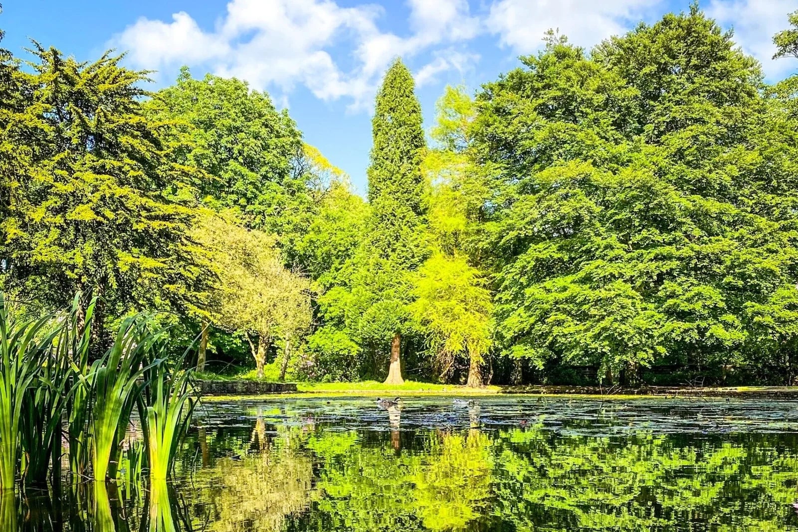 According to local reports, the woman was walking with a child at the time