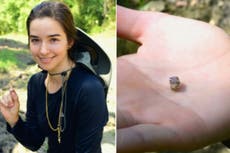 Woman saw a ‘spiderweb’ in an Arkansas park and decide to kick it. It was really a $27,000 diamond