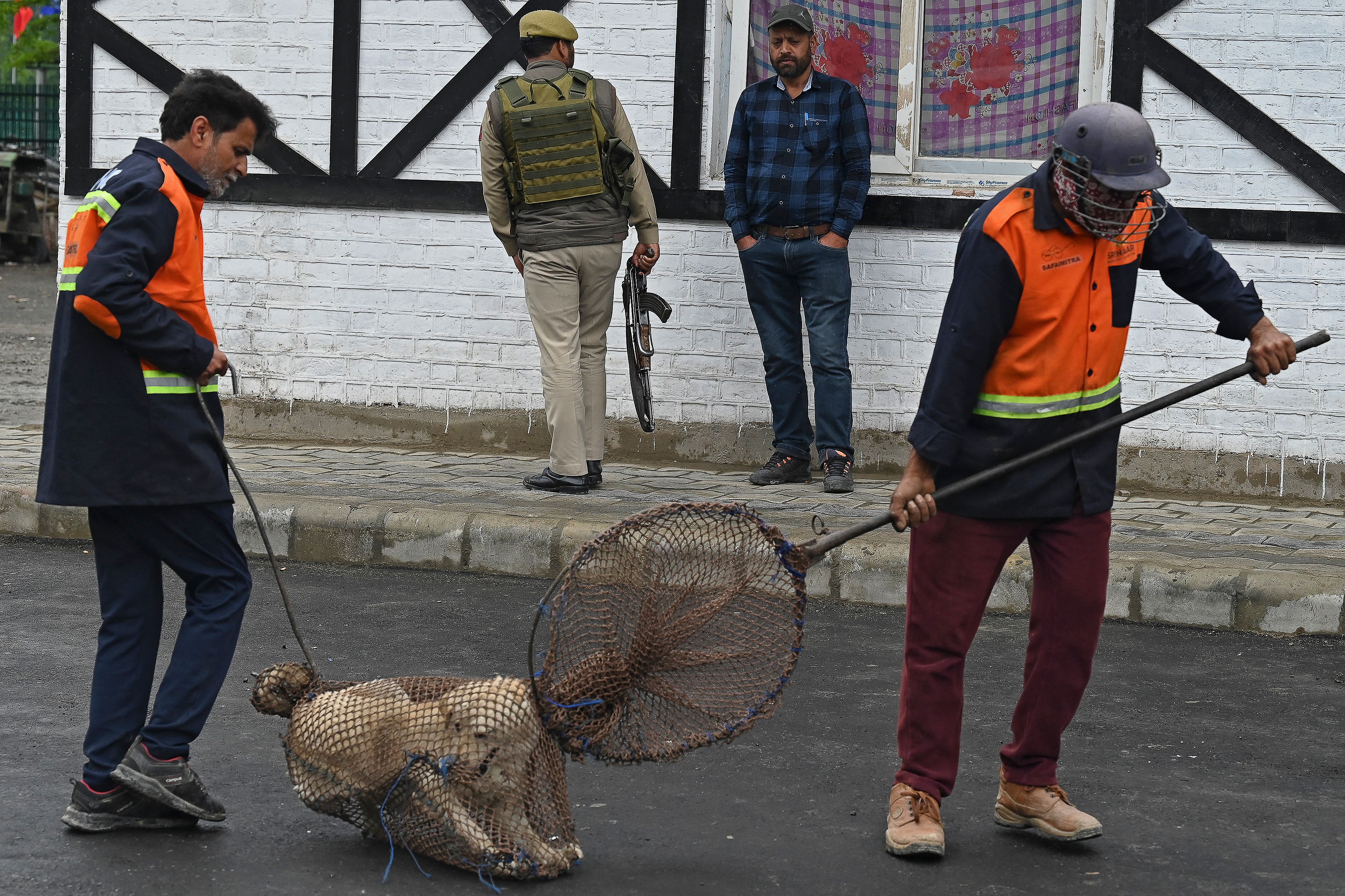 File: Workers from Srinagar Municipal Corporation (SMC) use a net to catch stray dogs at Polo View market before the visit of G2O delegates in Srinagar on May 24, 2023