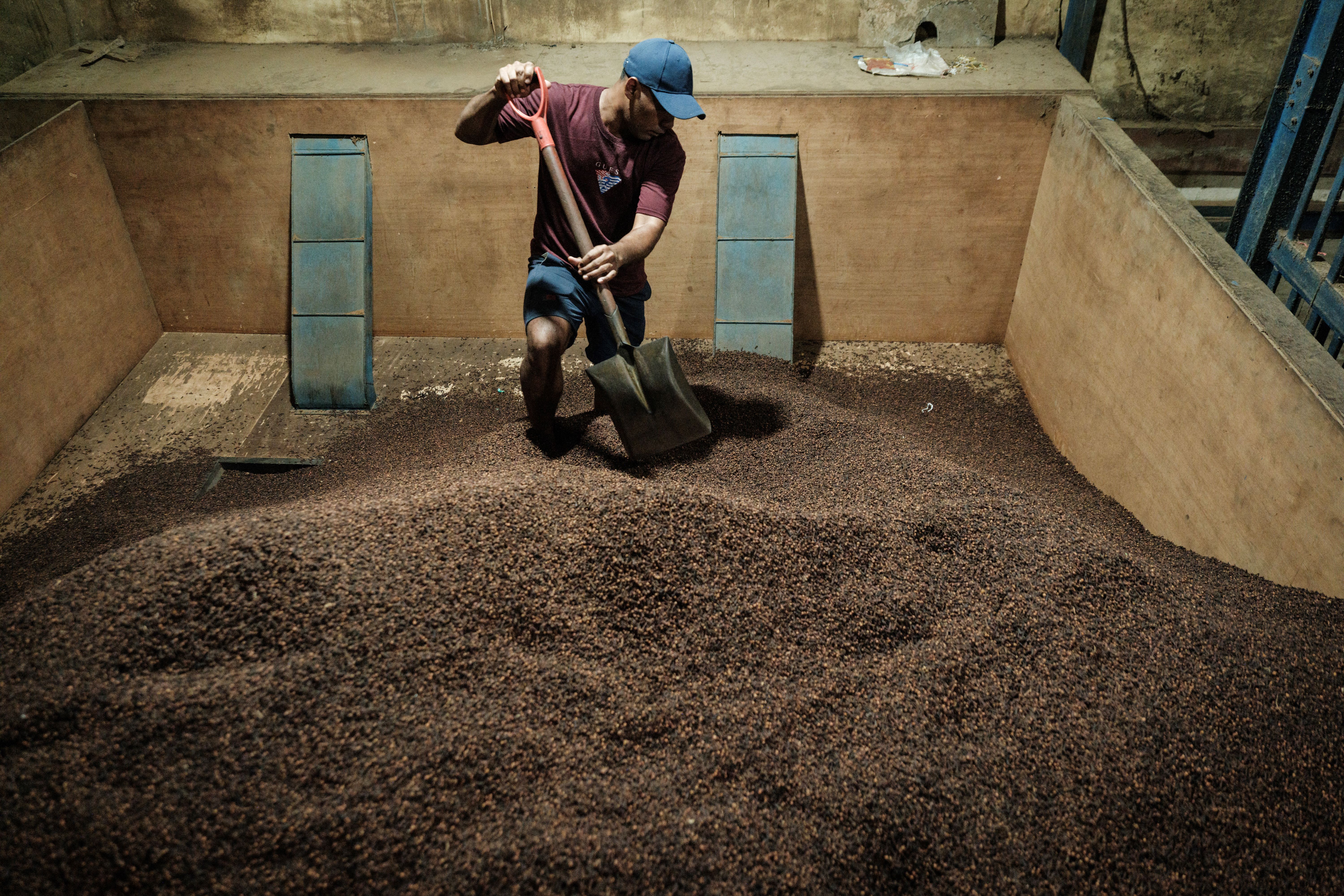 Hřebíček používaný při vaření může lidem poskytnout základní minerály a živiny. Bylo také prokázáno, že koření chrání zdraví úst a dolní hladinu cukru v krvi