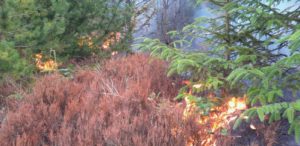 A moorland blaze which started in the North York Moors national park on Monday continues to spread