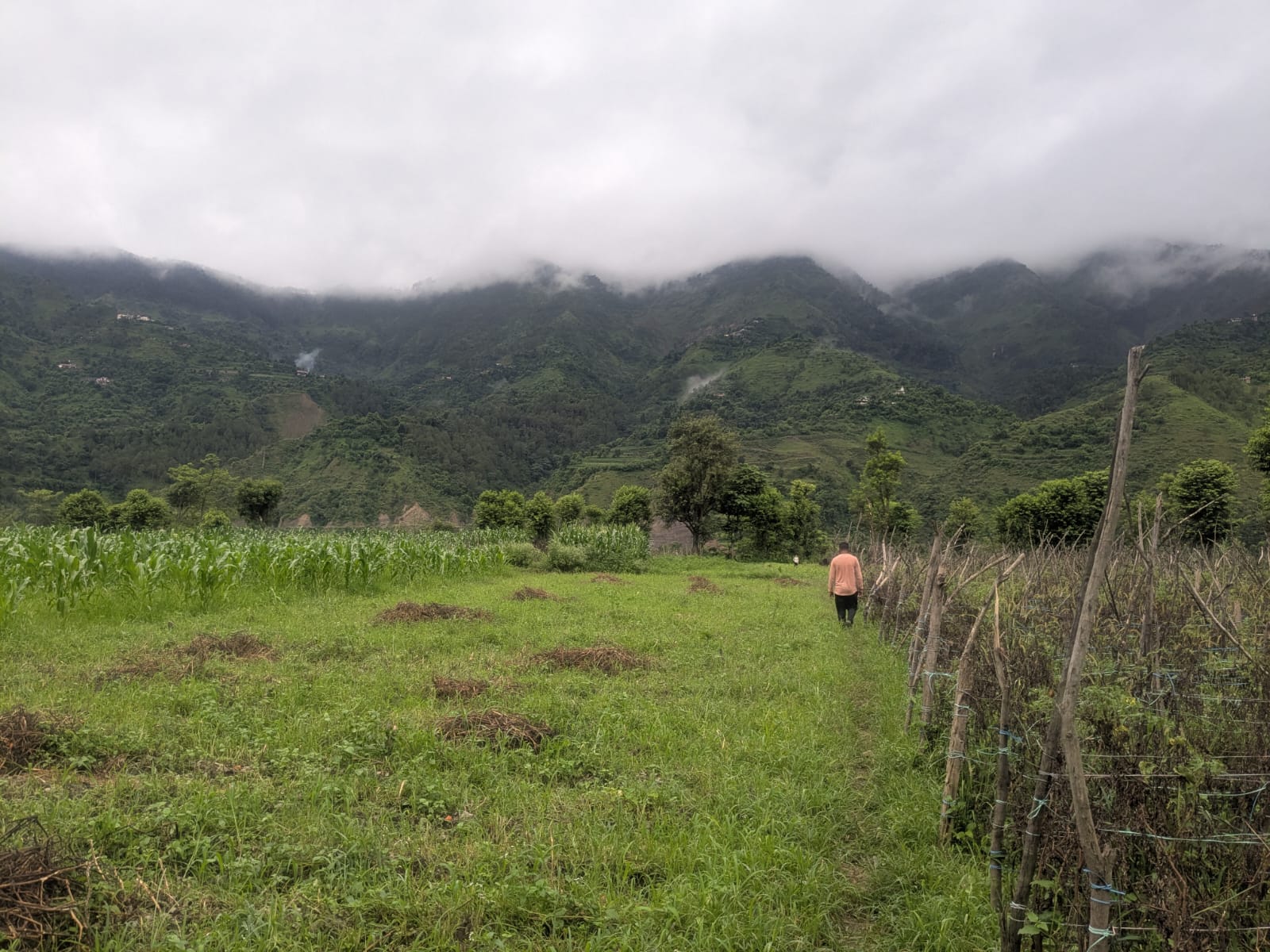 Land for farming is limited and property disputes can deeply impact livelihoods, say locals