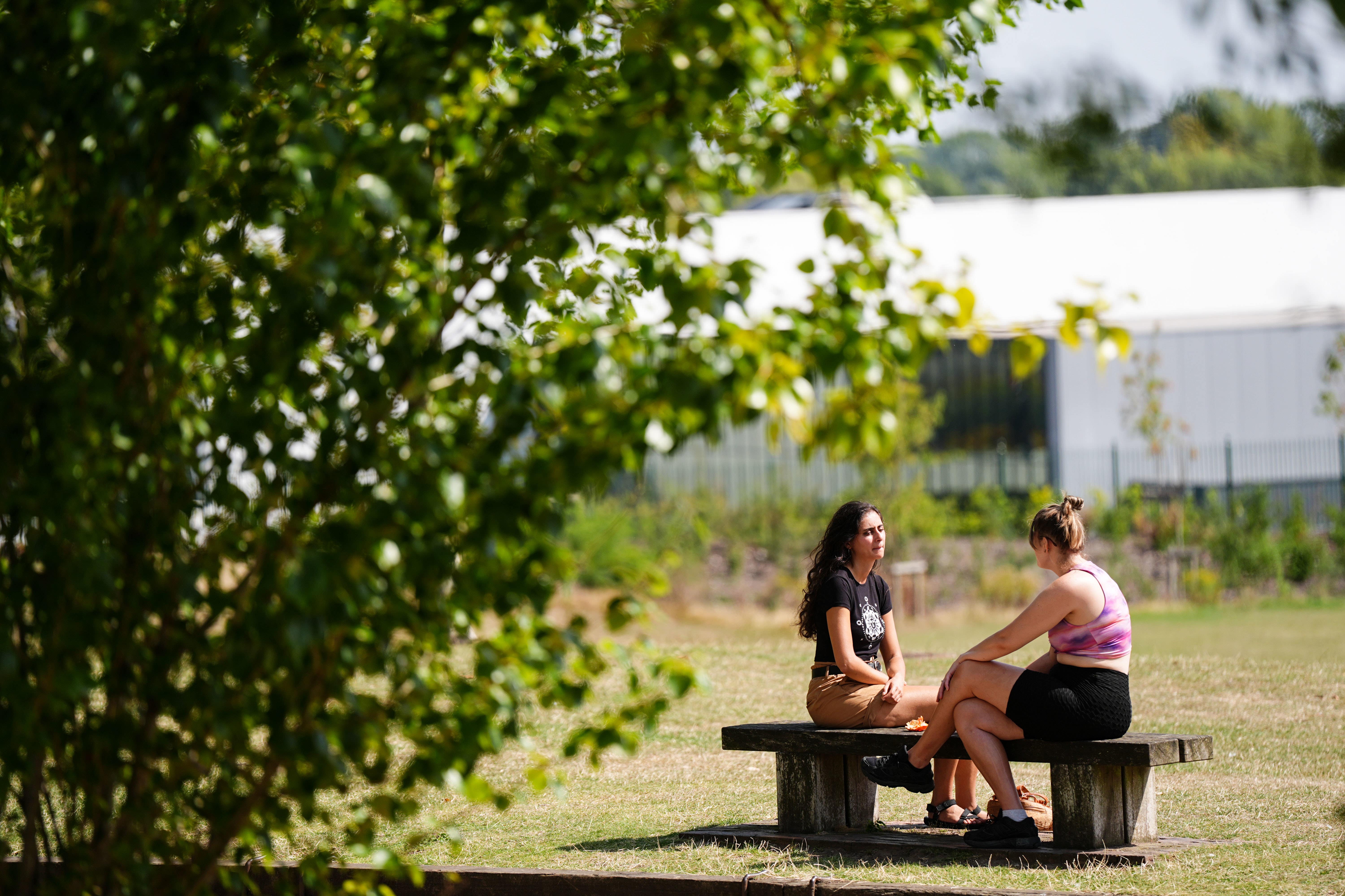 <p>The UK is set to enjoy a dry, sunny bank holiday weekend</p>