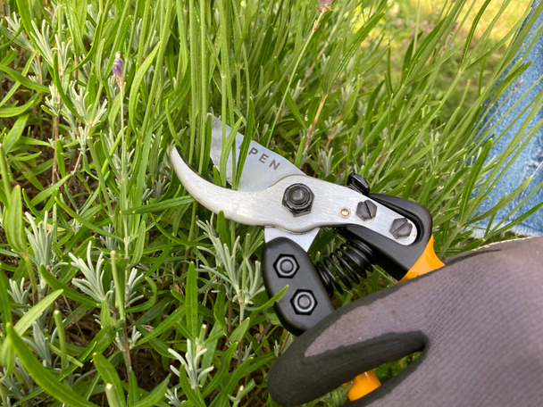 indybest best secateurs review Alpen gelbhorn 150