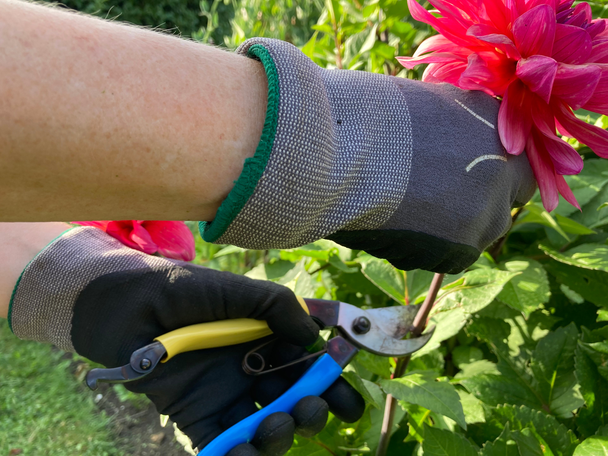 Indybest best secateurs Niwaki mainichi secateurs