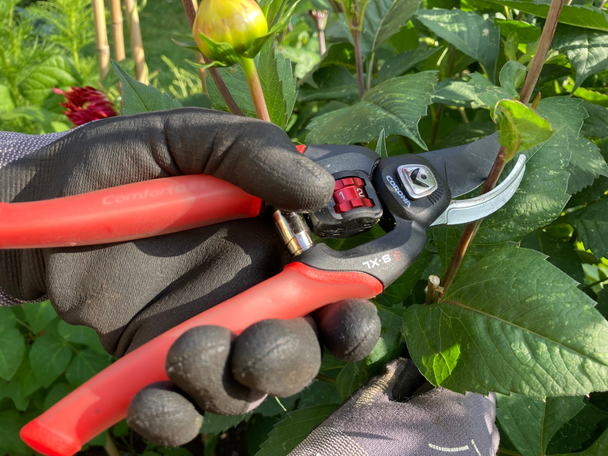 Indybest best secateurs review Corona flexdial comfortgel branch and stem pruner