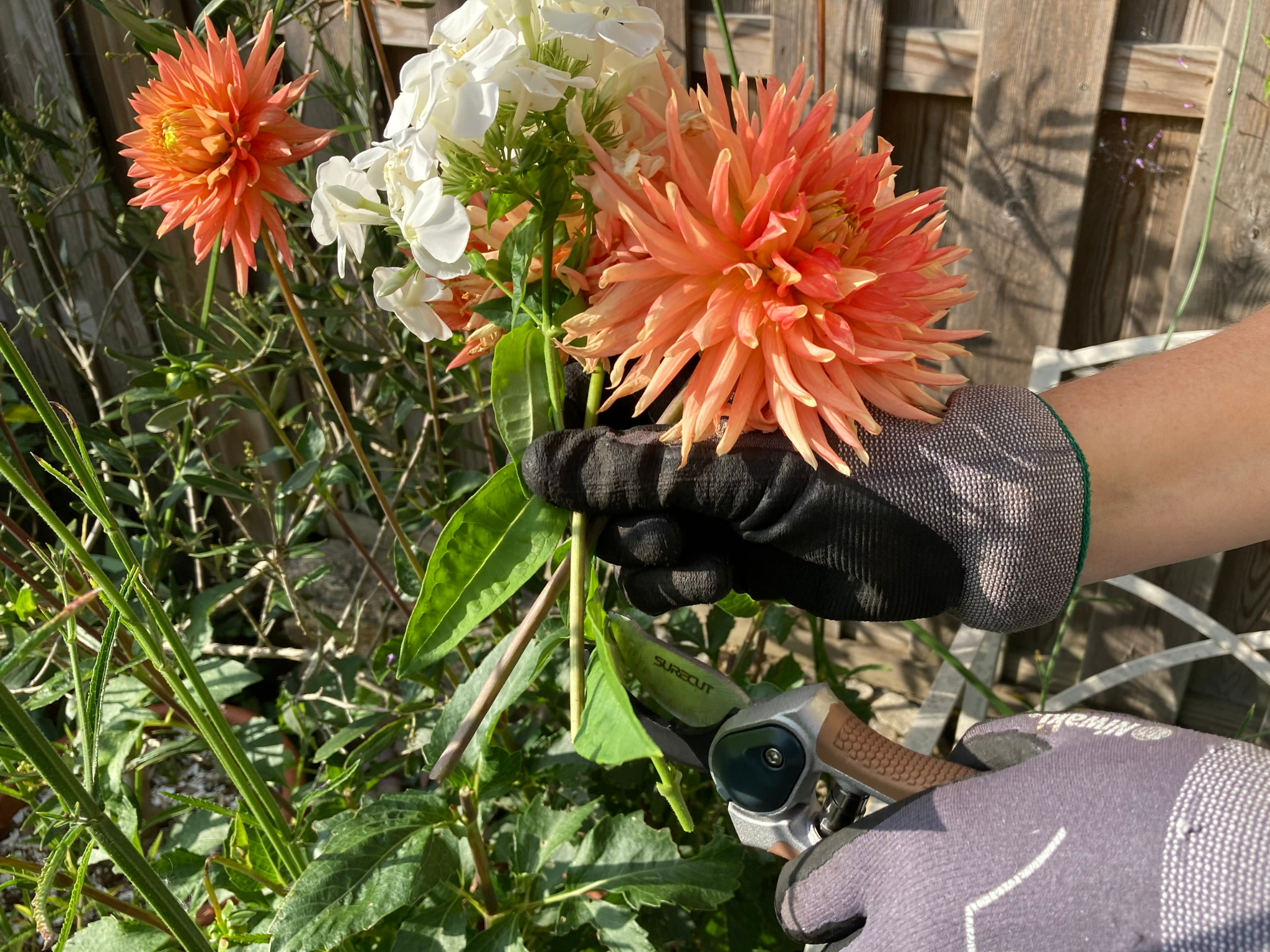 Indybest best secateurs review Kent and Stowe garden life all purpose mini secateurs