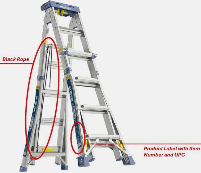 Ladder-Recall-Werner
