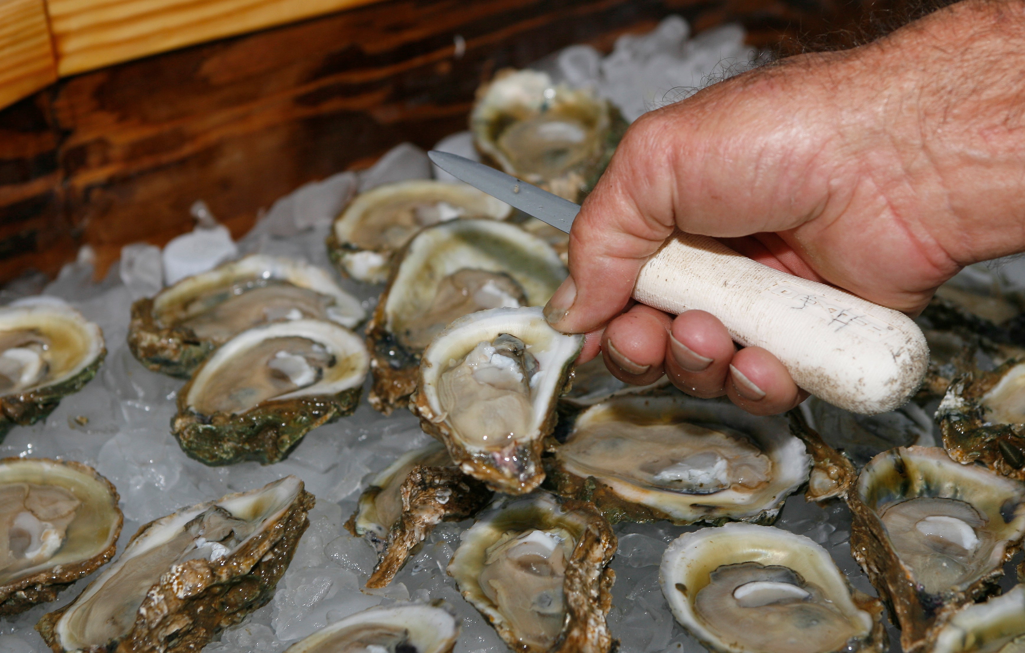 Two people have died in Louisiana after they ate raw oysters and became infected with the flesh-eating Vibrio vulnificus bacteria