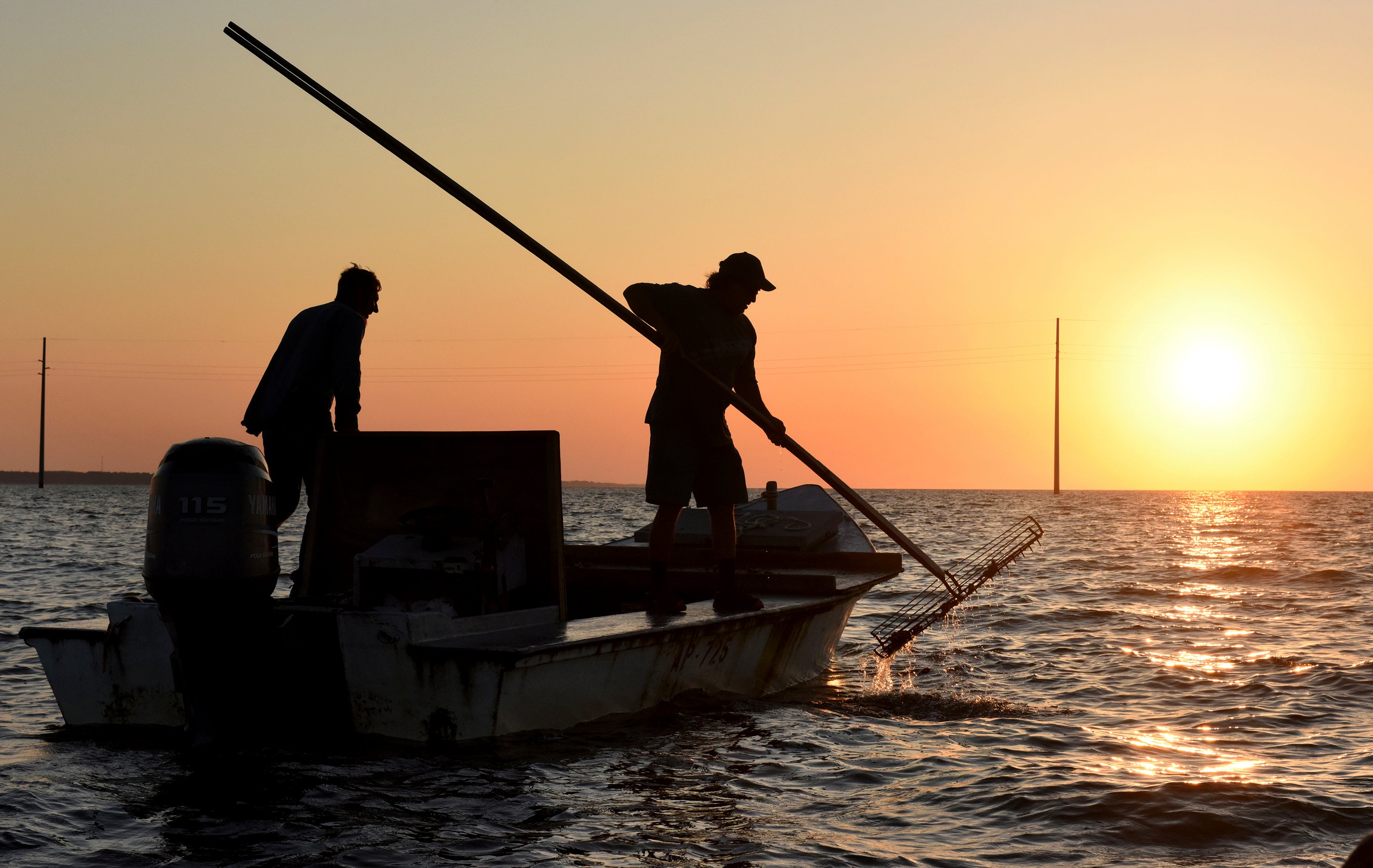 Florida wildlife officials consider reopening bay nationally known for its oysters