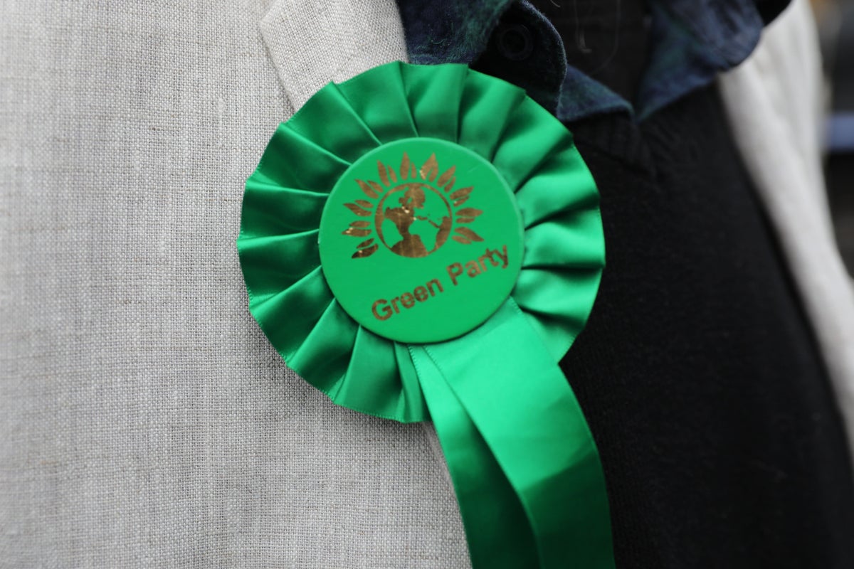 Green leadership hopefuls set out fight for frustrated Labour supporters’ votes