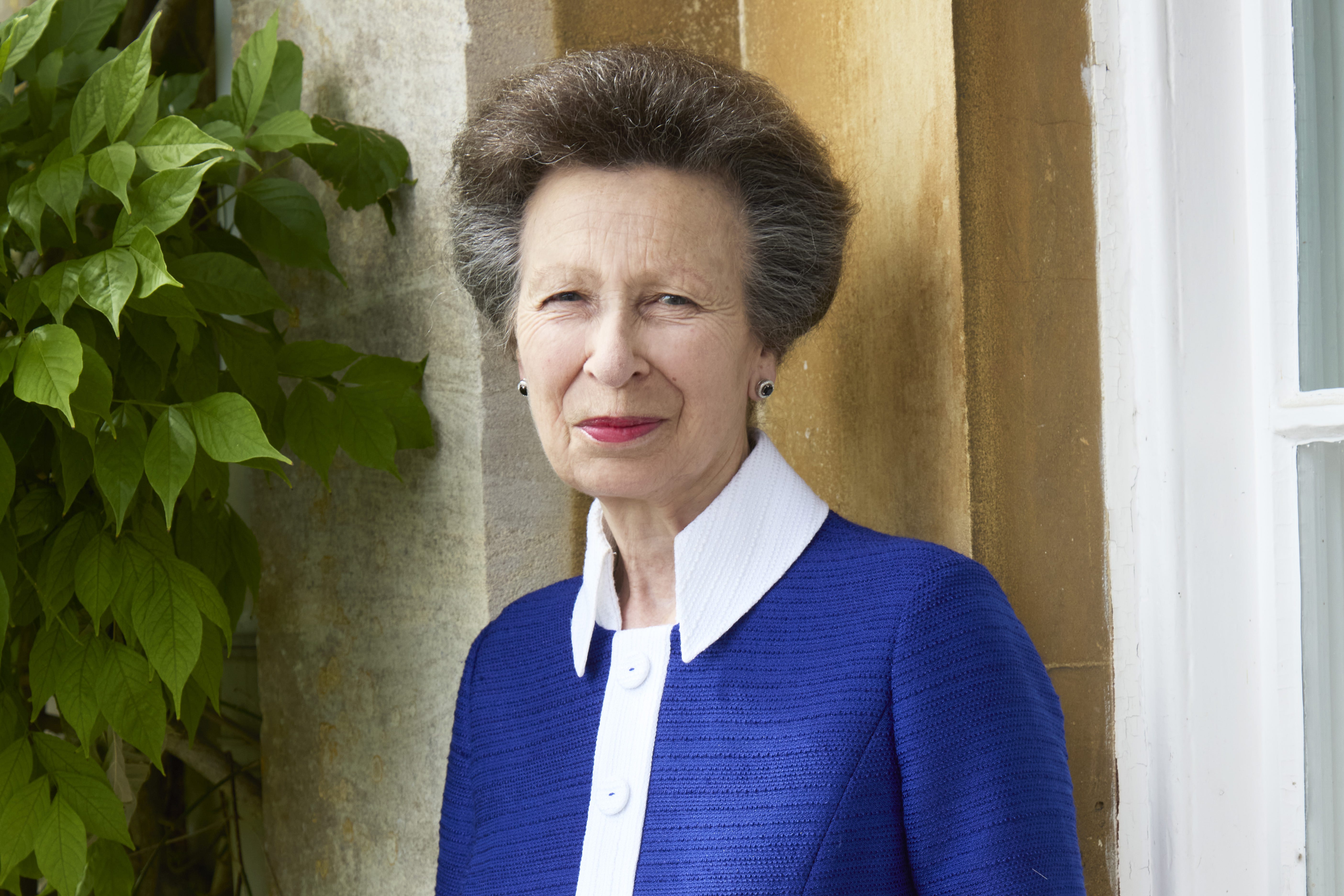 A new portrait of the Princess Royal to celebrate her 75th birthday (John Swannell for Buckingham Palace/PA)