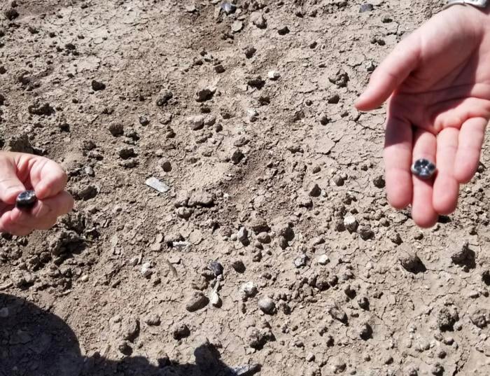 Fossil teeth unearthed in Ethiopia