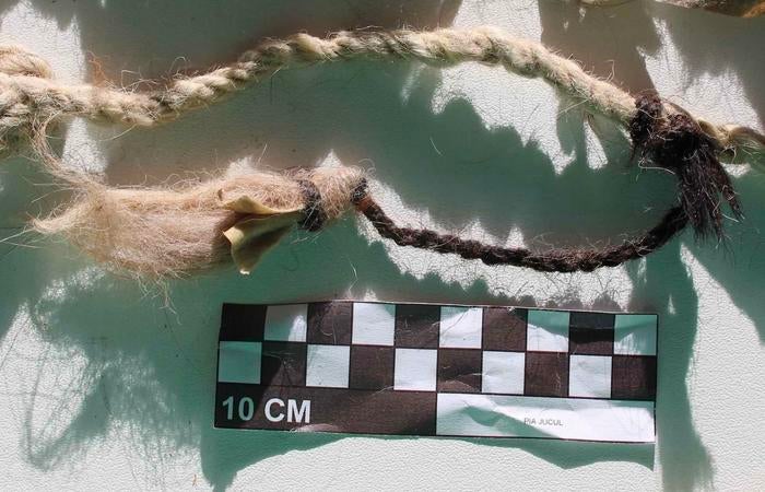Dark brown human hair signature on a khipu, Jucul, Peru