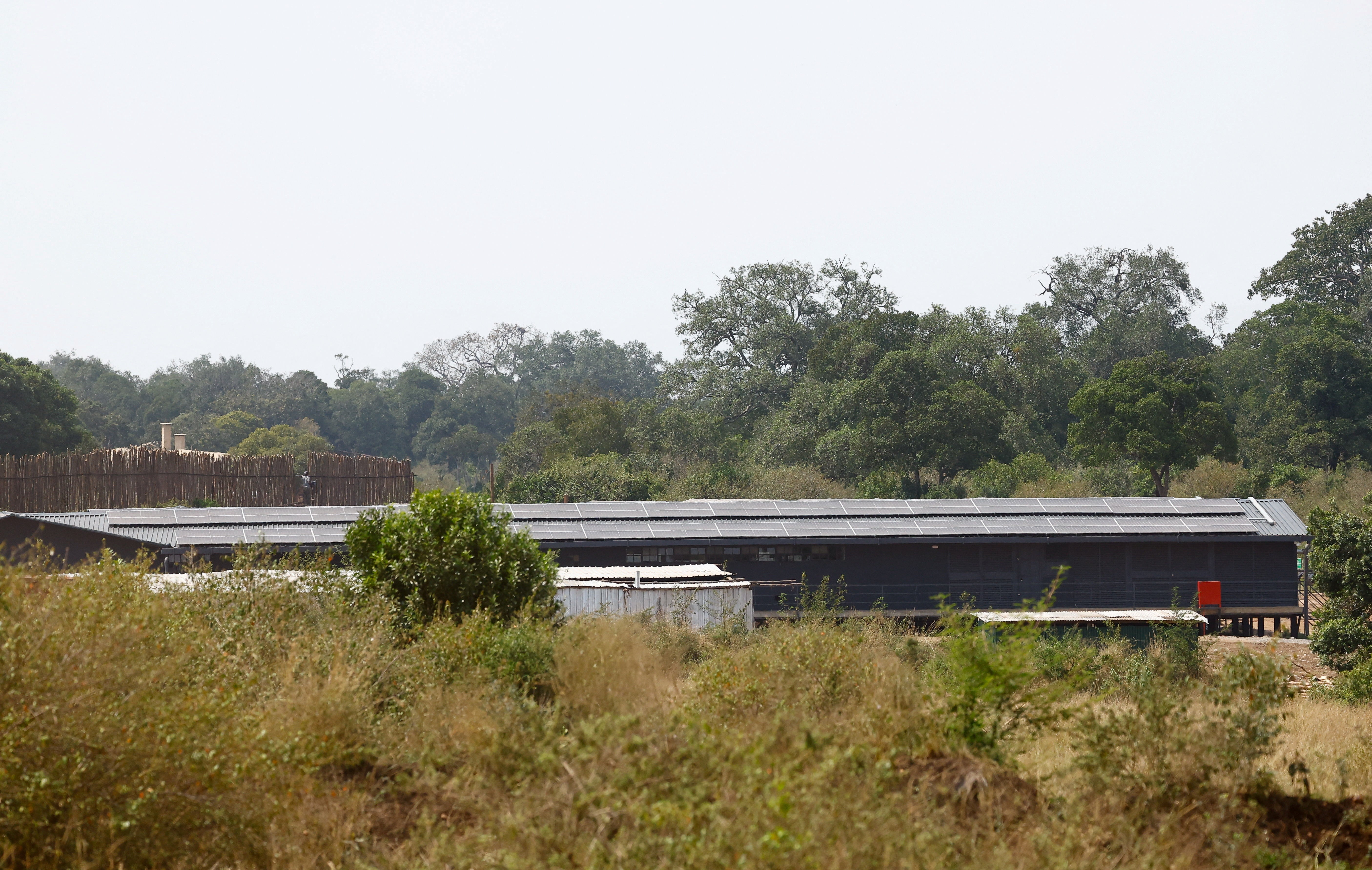 Dapash said he only learned of the project in May