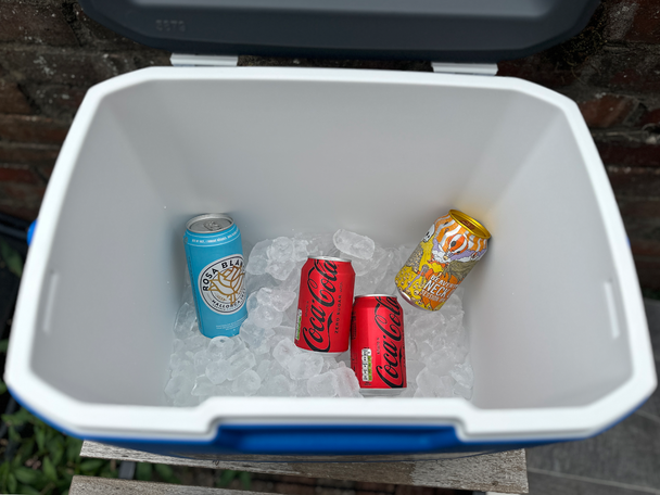 Best cool boxes Indybest review Coleman performance blue cooler 30QT