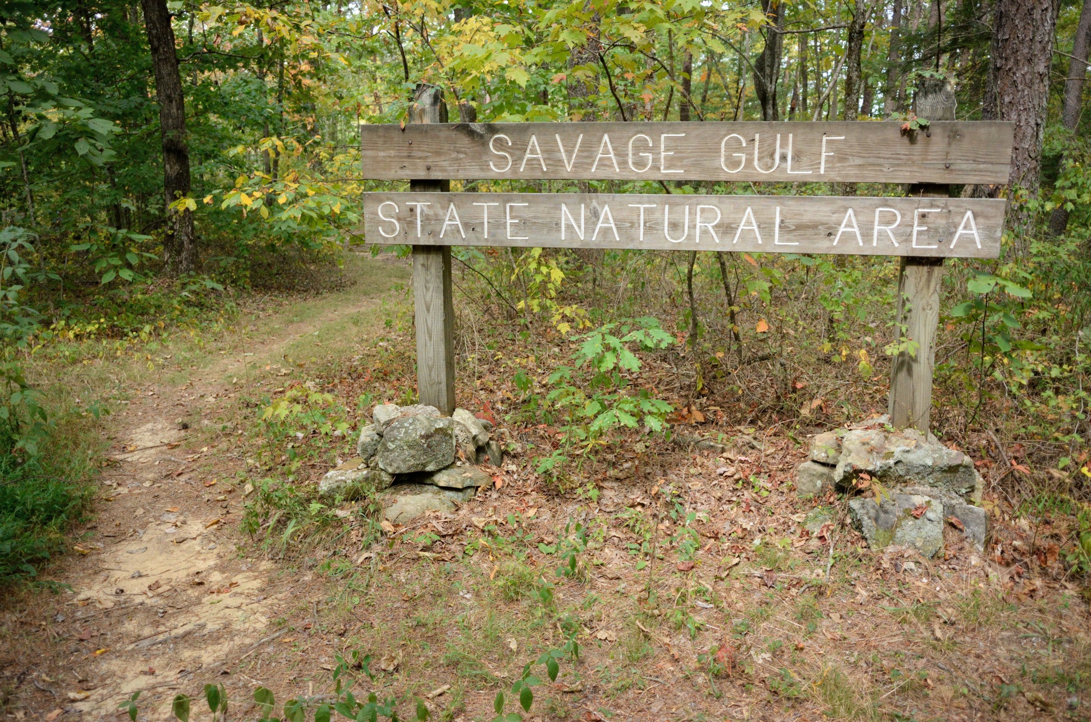 The hiker was found just half a mile down a trailhead at the sprawling Savage Gulf State Park, officials said