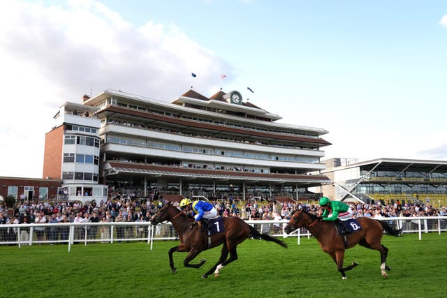 <p>Read our tips for Saturday's racing at Newbury and Ripon</p>