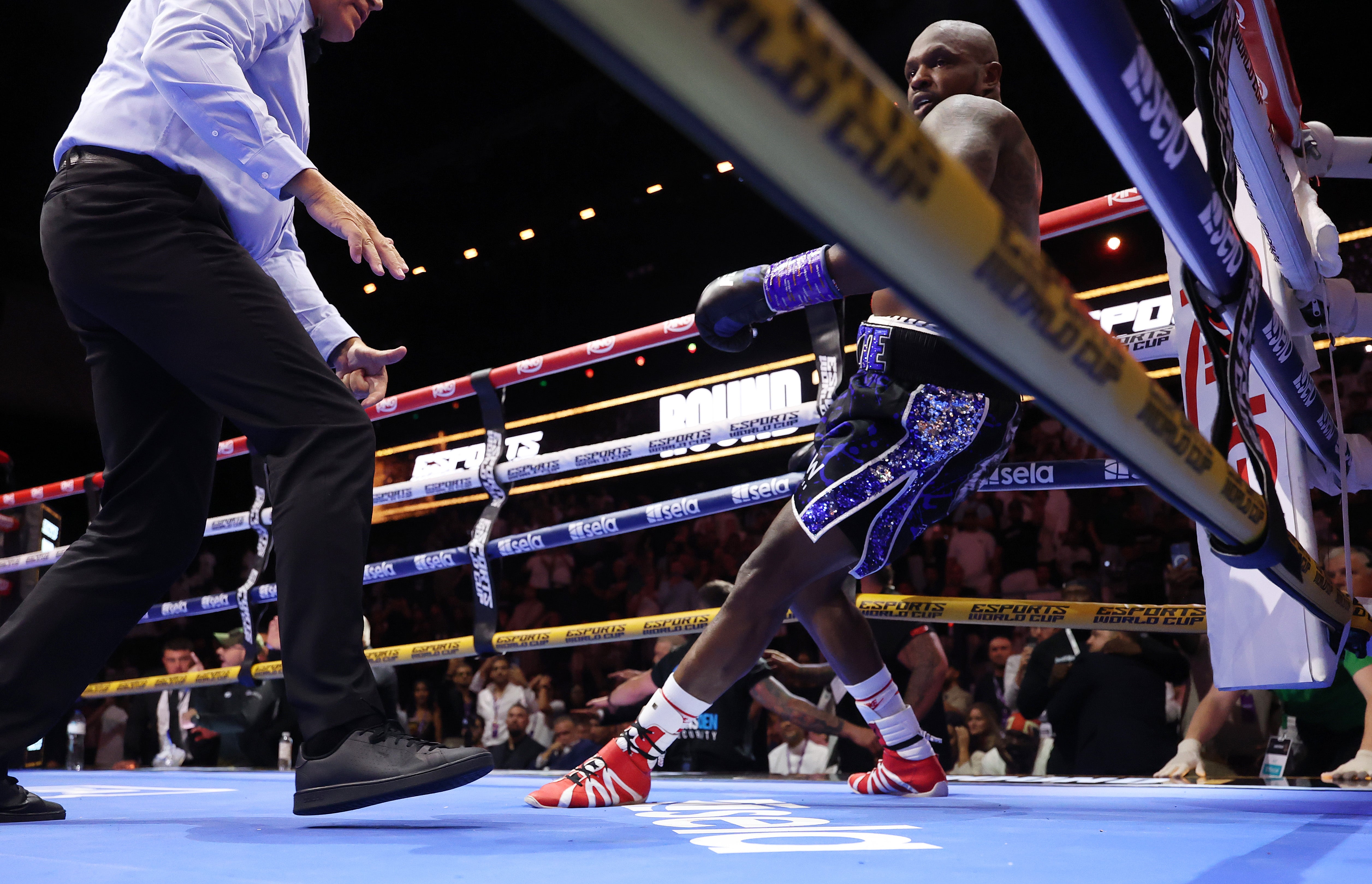 Whyte bije hraběte, ale zakopne do rohu