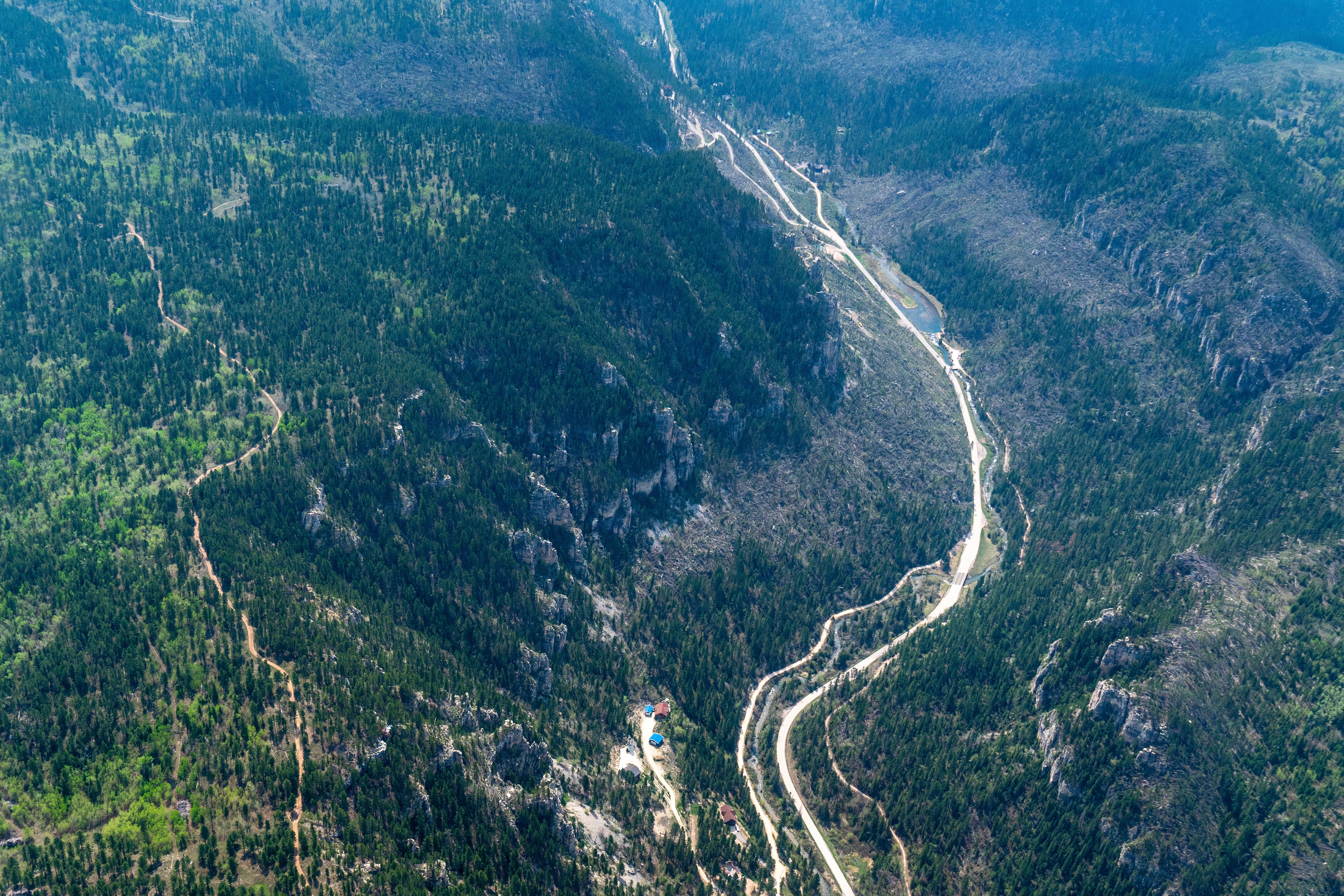 This image provided by EcoFlight shows an aerial view of a road winding through the pine-covered Black Hills on Tuesday, May 23, 2023