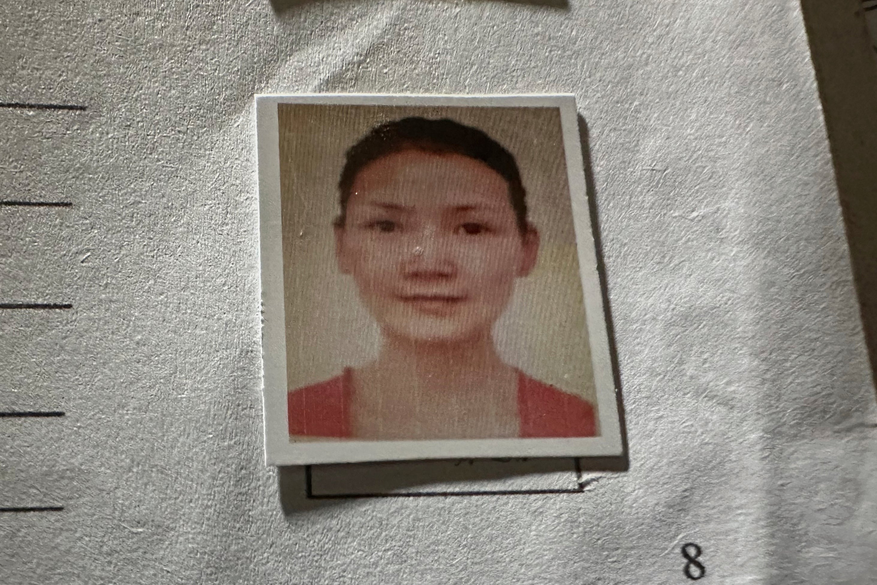 Pakistan Chinese Climber