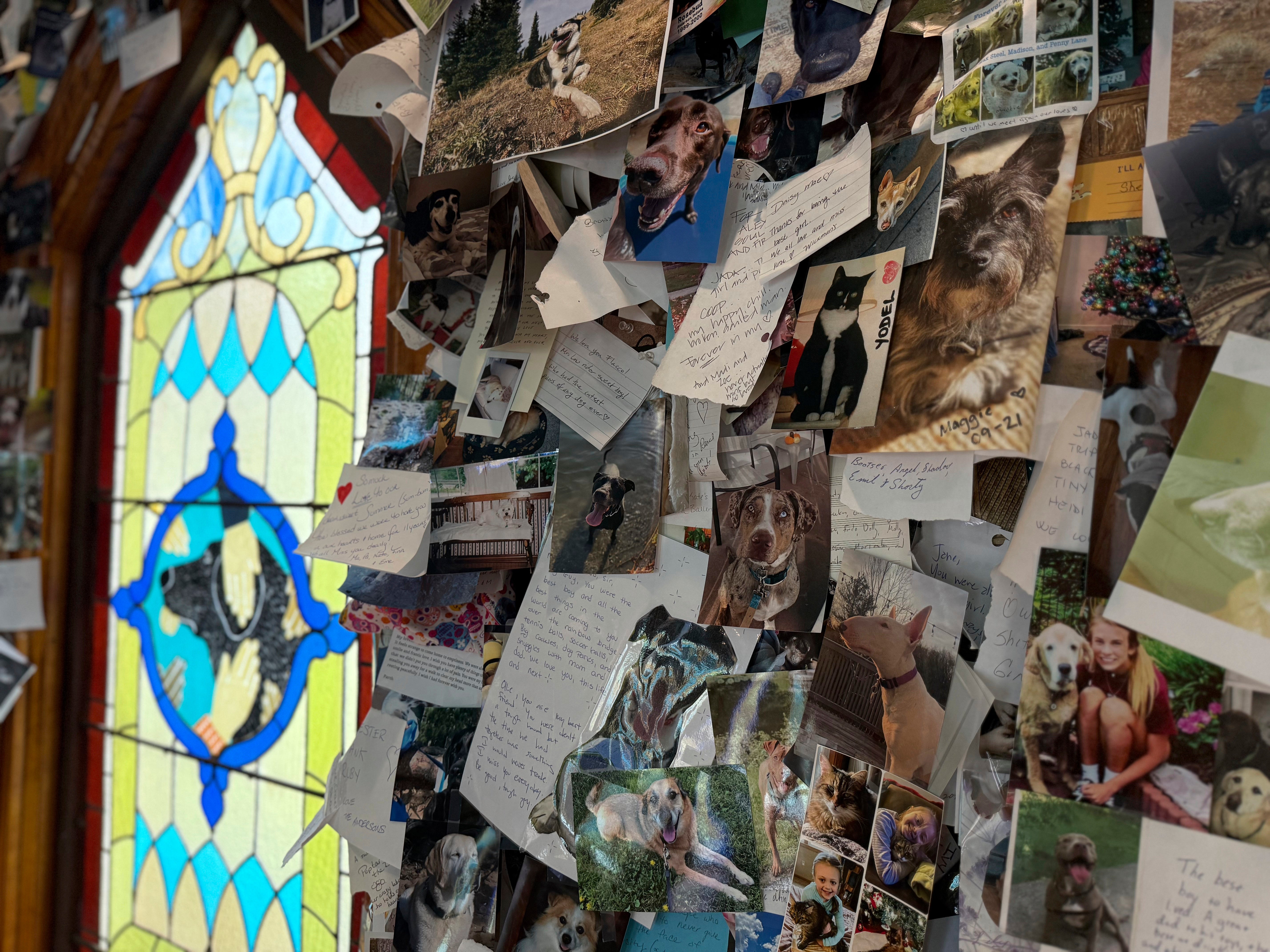 Thousands of photos of dogs and notes left by pet owners cover the walls inside the Dog Chapel at Dog Mountain, a 150-acre dog park created by Vermont folk artist Stephen Huneck, Thursday, Aug. 7, 2025, in St. Johnsbury, Vt. (AP Photo/Amanda Swinhart)