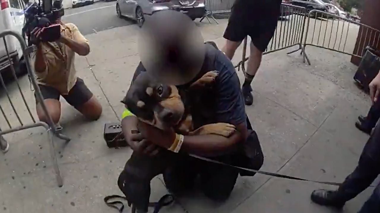 Moment stolen dog is reunited with owner after subway theft