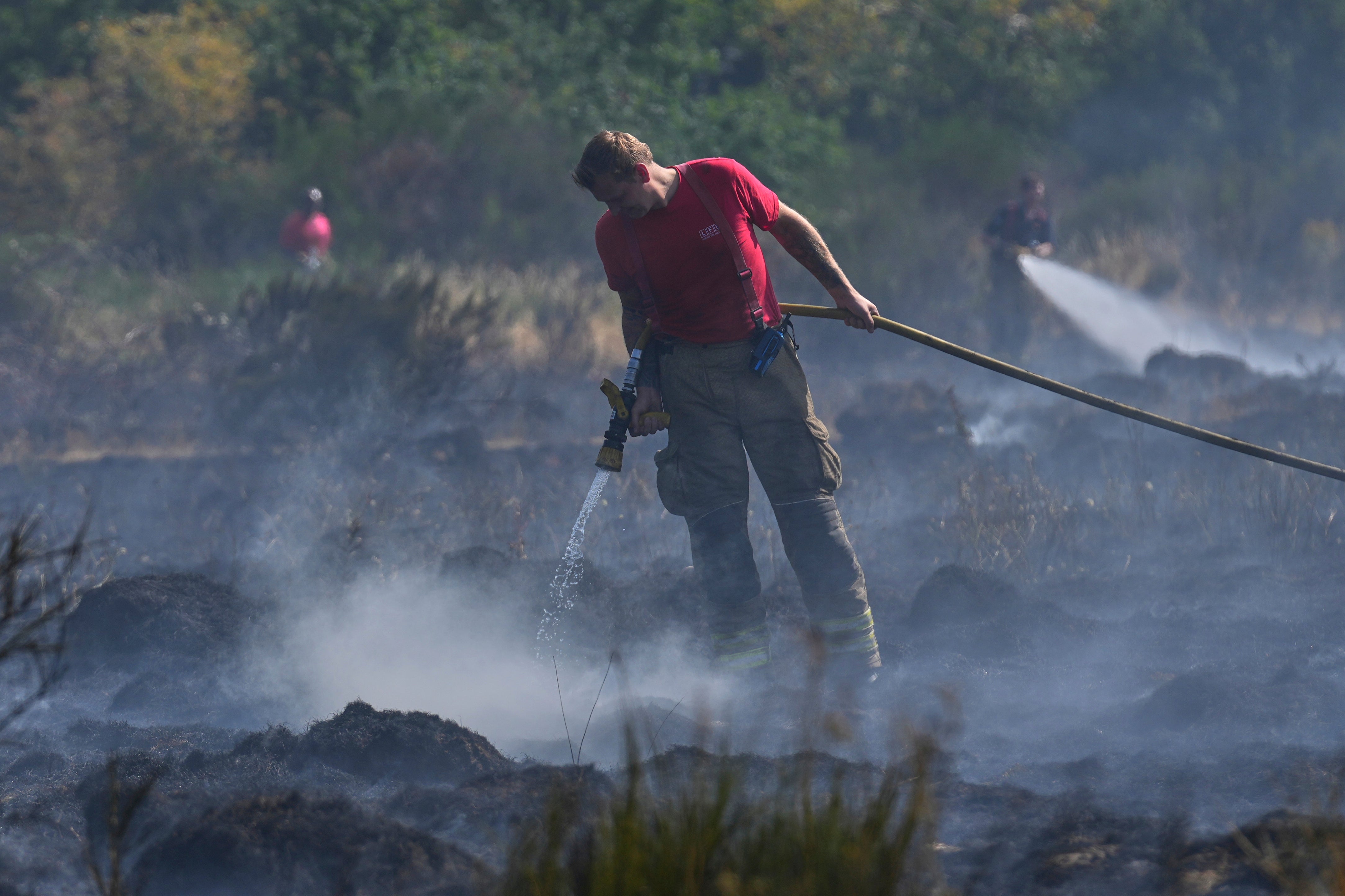 <p>Members of the London Fire Brigade tackle a wildfire on Wanstead Flats in London this month</p>
