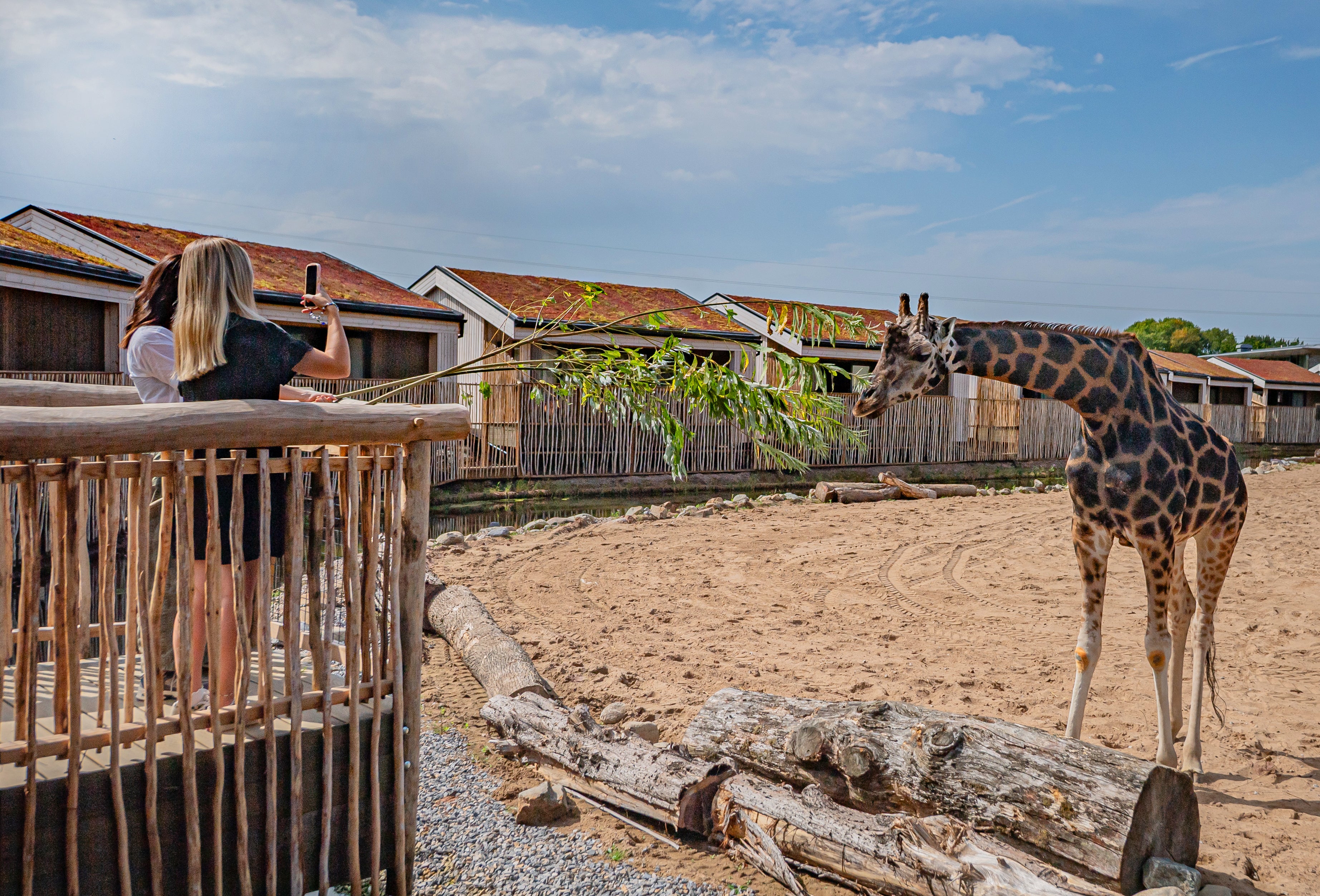 The safari lodges at Chester Zoo