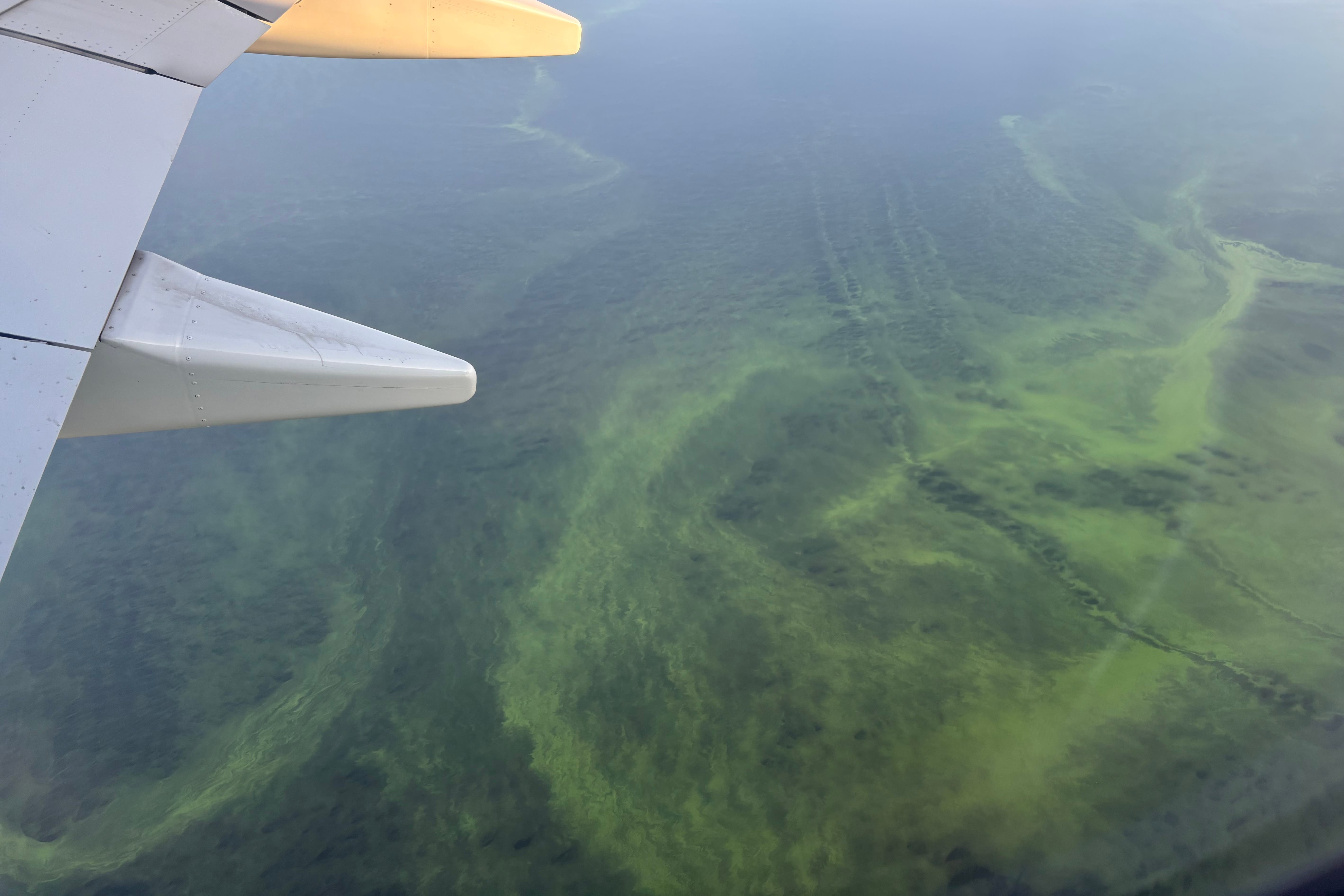 A view of the southern part of Lough Neagh from a flight on August 12 (Rebecca Black/PA)