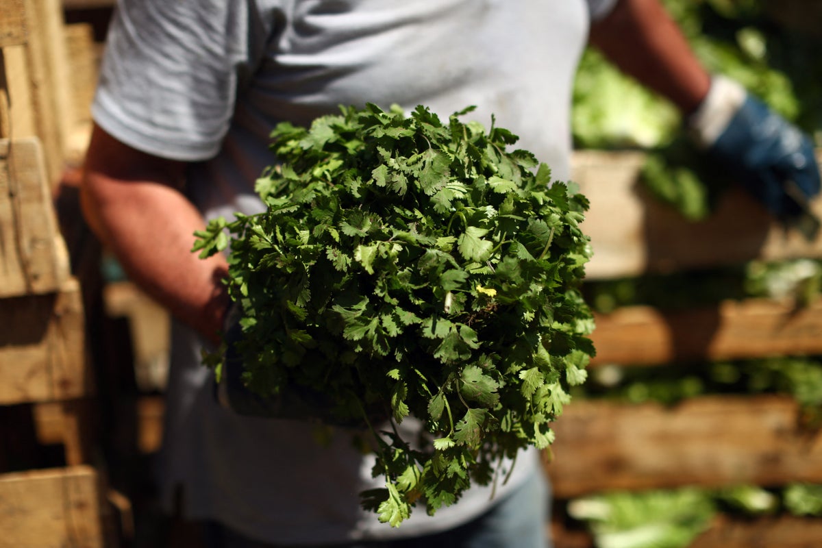 Italian Parsley recalled over salmonella concerns