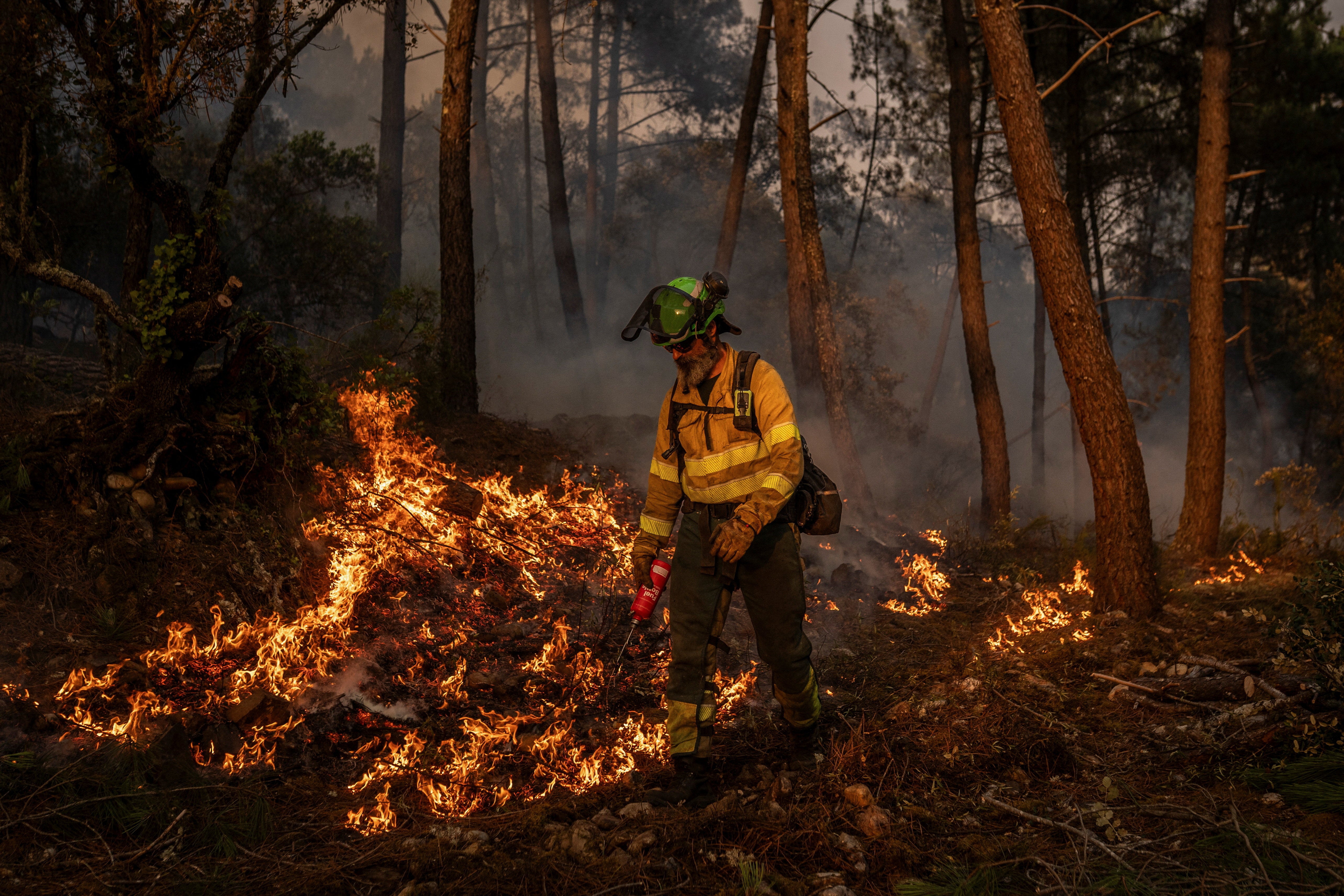 Jorge Fernandez of Granada’s 401st BRICA (Special Reinforcement Brigade for Wildfires in Andalusia) carries out a controlled burn in the village of San Martino de Alvaredos, Lugo area, Galicia