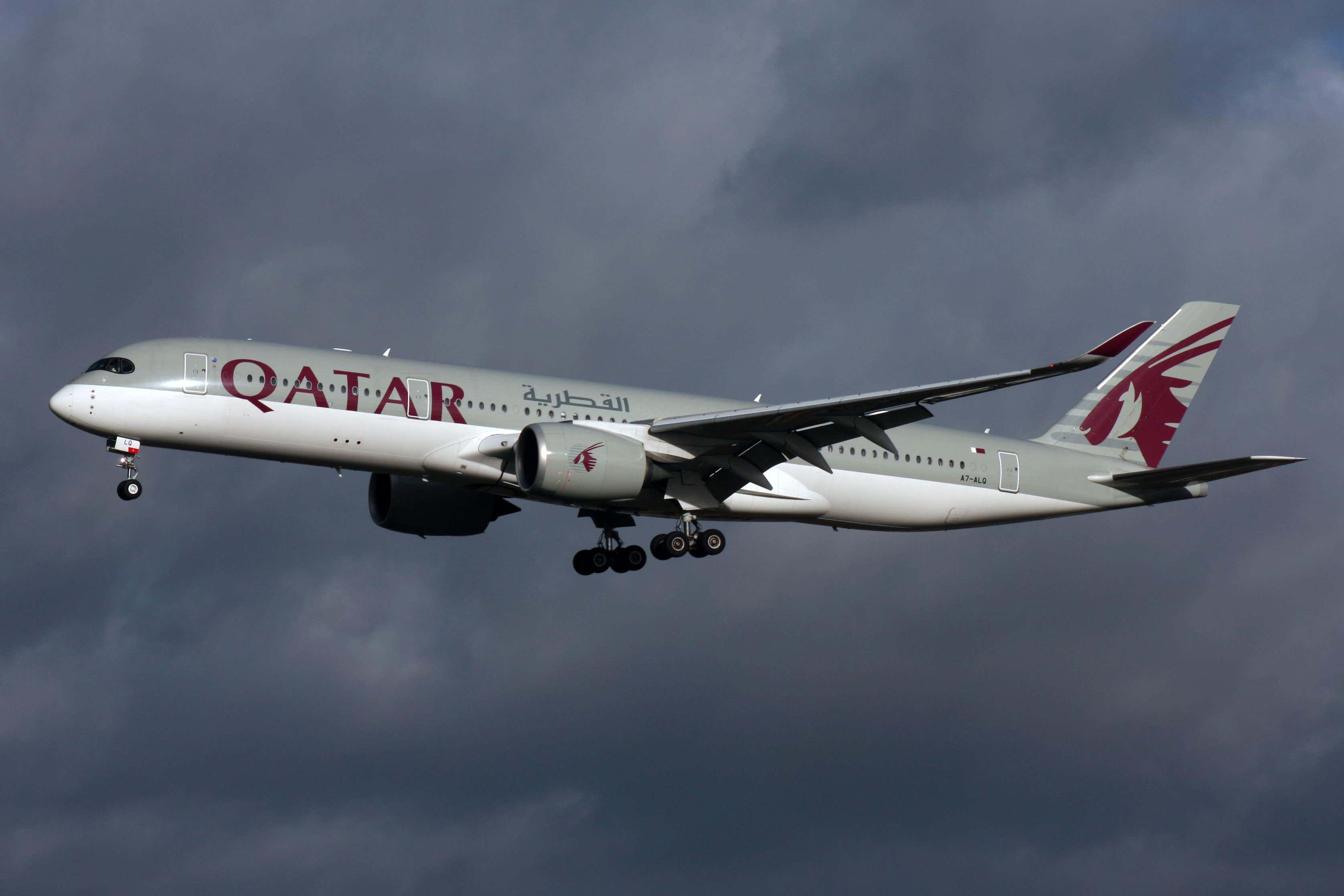 <p>A lack of vegetarian meals aboard a Qatar Airways flight led to tragedy for one California man, a new lawsuit claims. </p>
